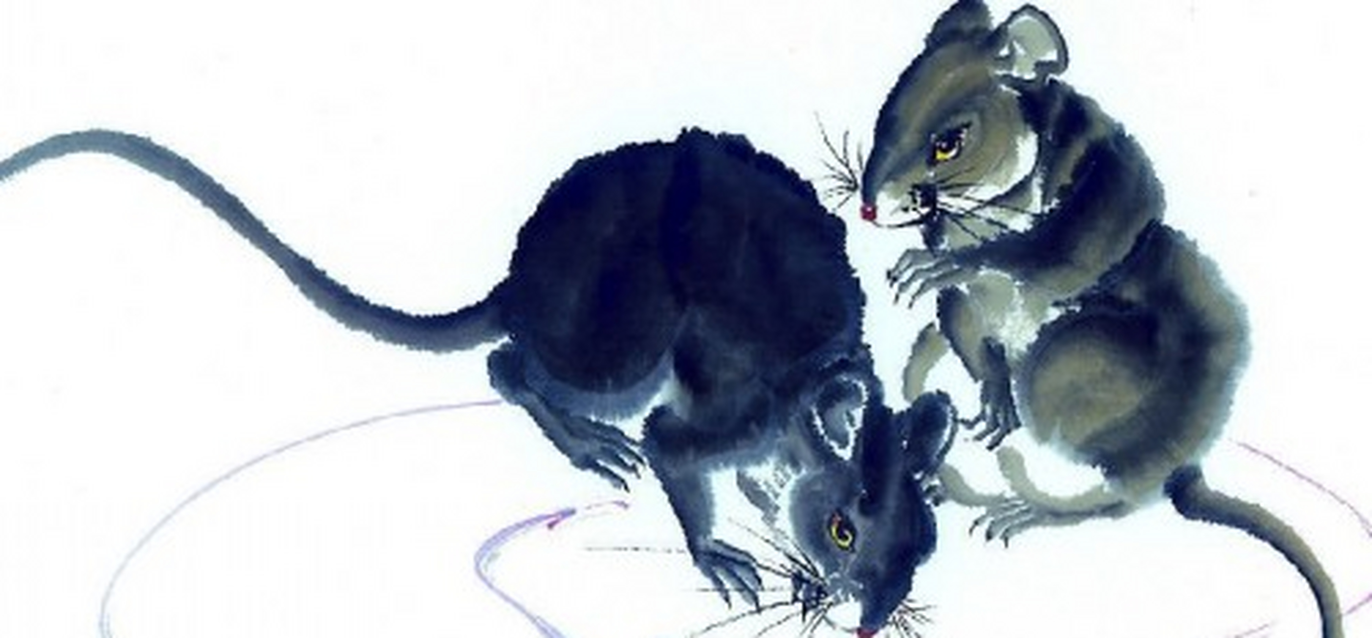 生肖鼠[哟] 属鼠之人属相五行属水,其中96年生的属鼠人,丙子鼠年,纳音