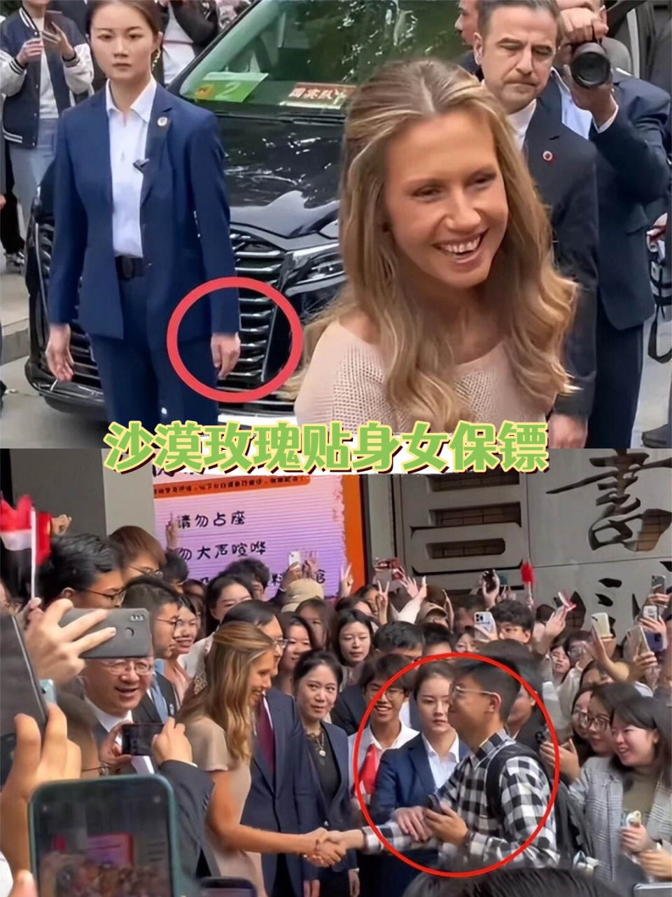 沙漠玫瑰贴身女保镖,娶她有何条件?