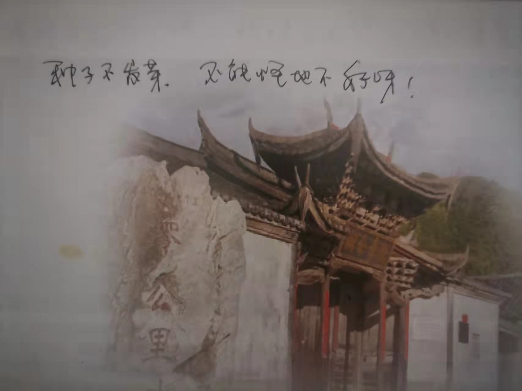 电视剧《跃龙门》中,当巡抚张伯行的夫人愧疚地表示不能生儿育女时