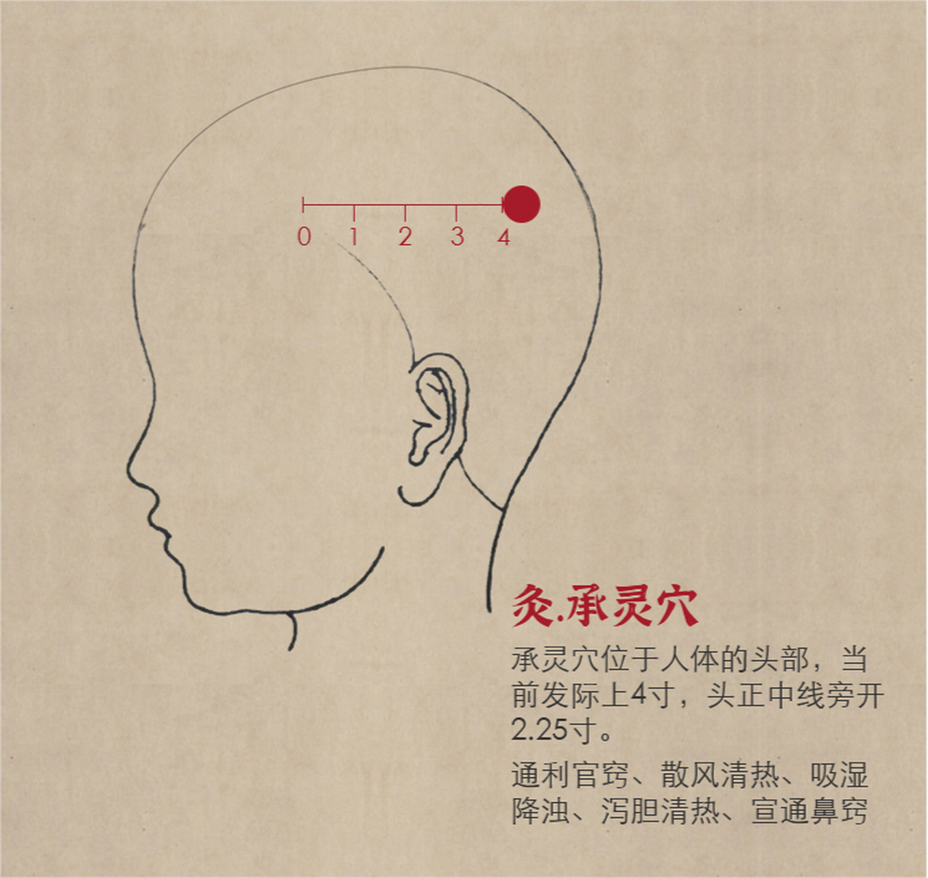 承灵,经穴名.出《针灸甲乙经》.