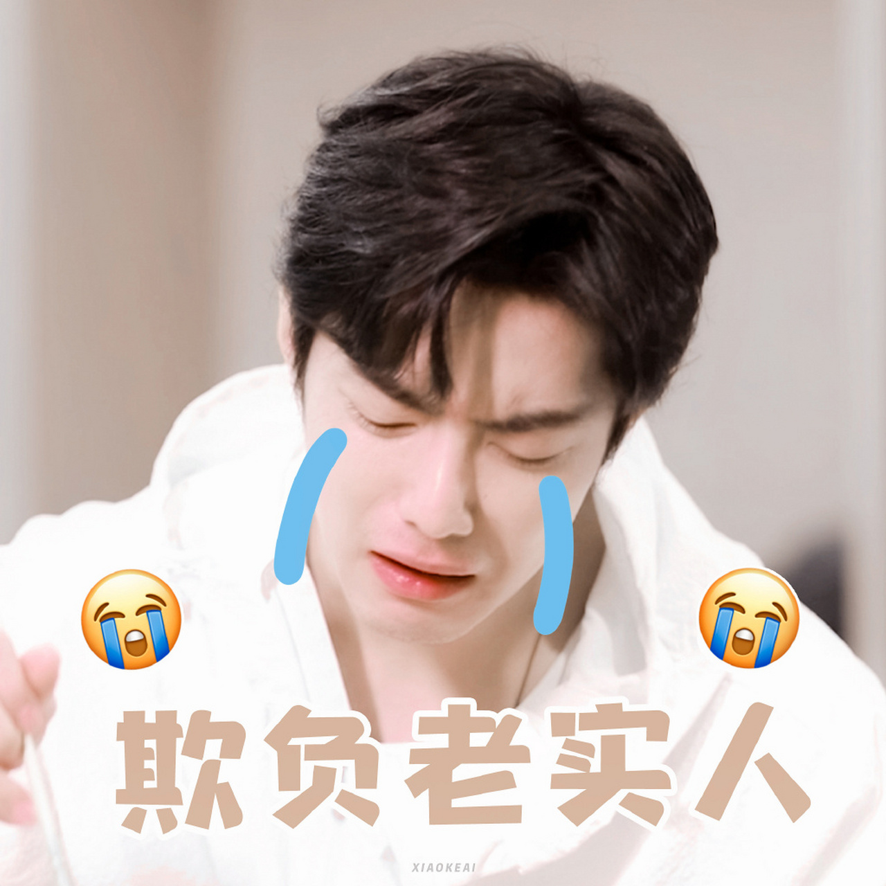 收获最新肖战表情包-真是太萌了吧!