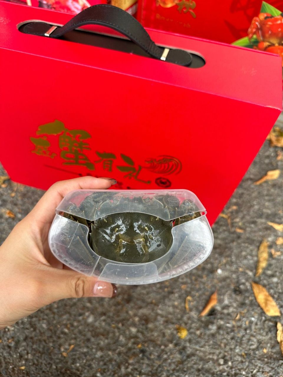 盘锦河蟹  河蟹礼盒装9721566两母蟹0215(十只) 生活无需