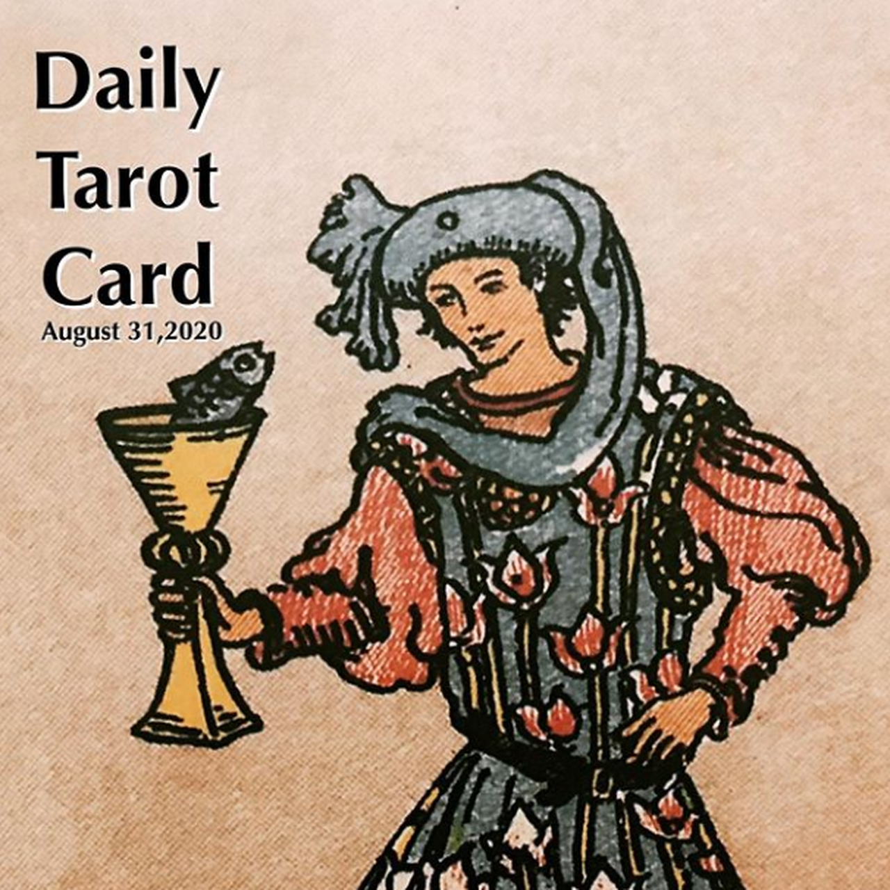 今日塔罗牌:page of cups(圣杯侍者) 天真烂漫,随性自在.