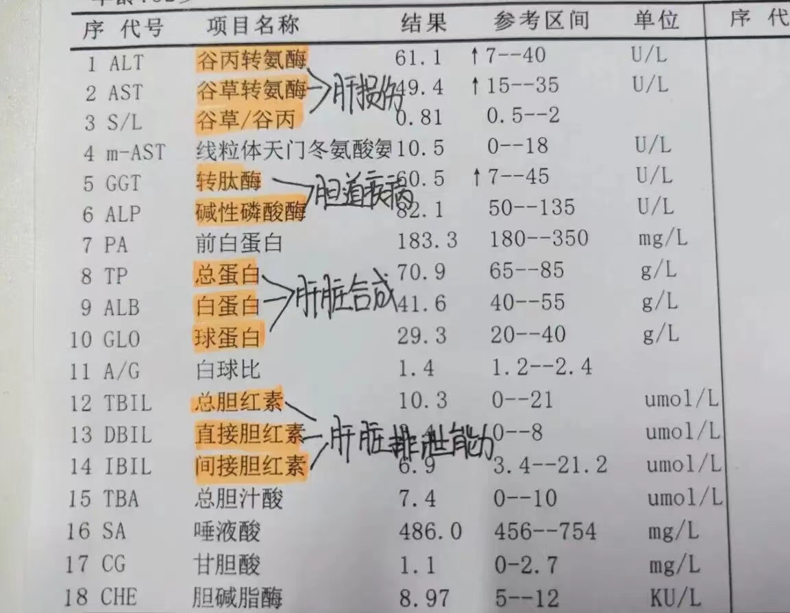 体检中肝功能这3项指标正常,肝脏基本无碍  1 转氨酶