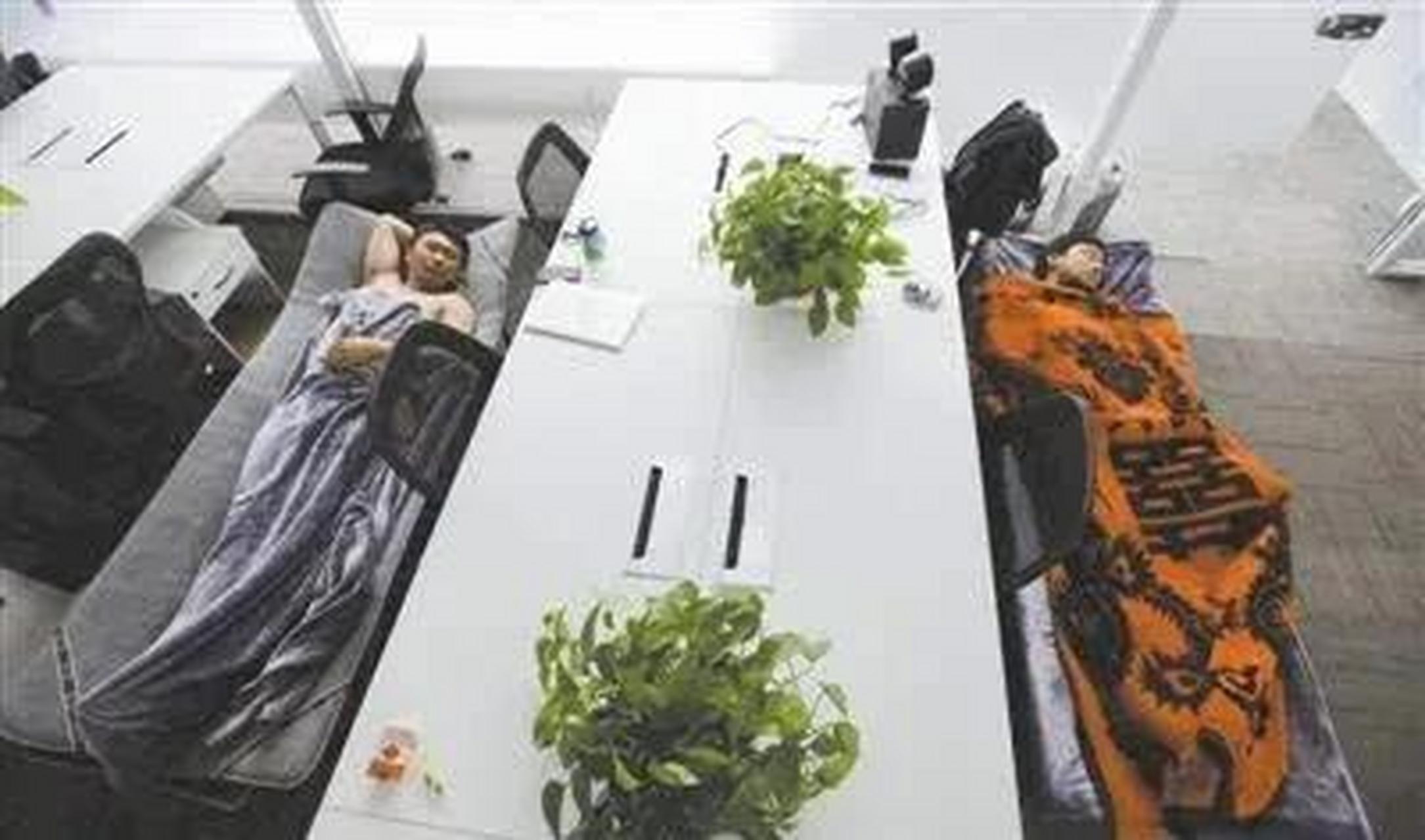 办公室午睡大法,千姿百态眯个觉,哪位睡功最撩人,你的迷人睡姿上没