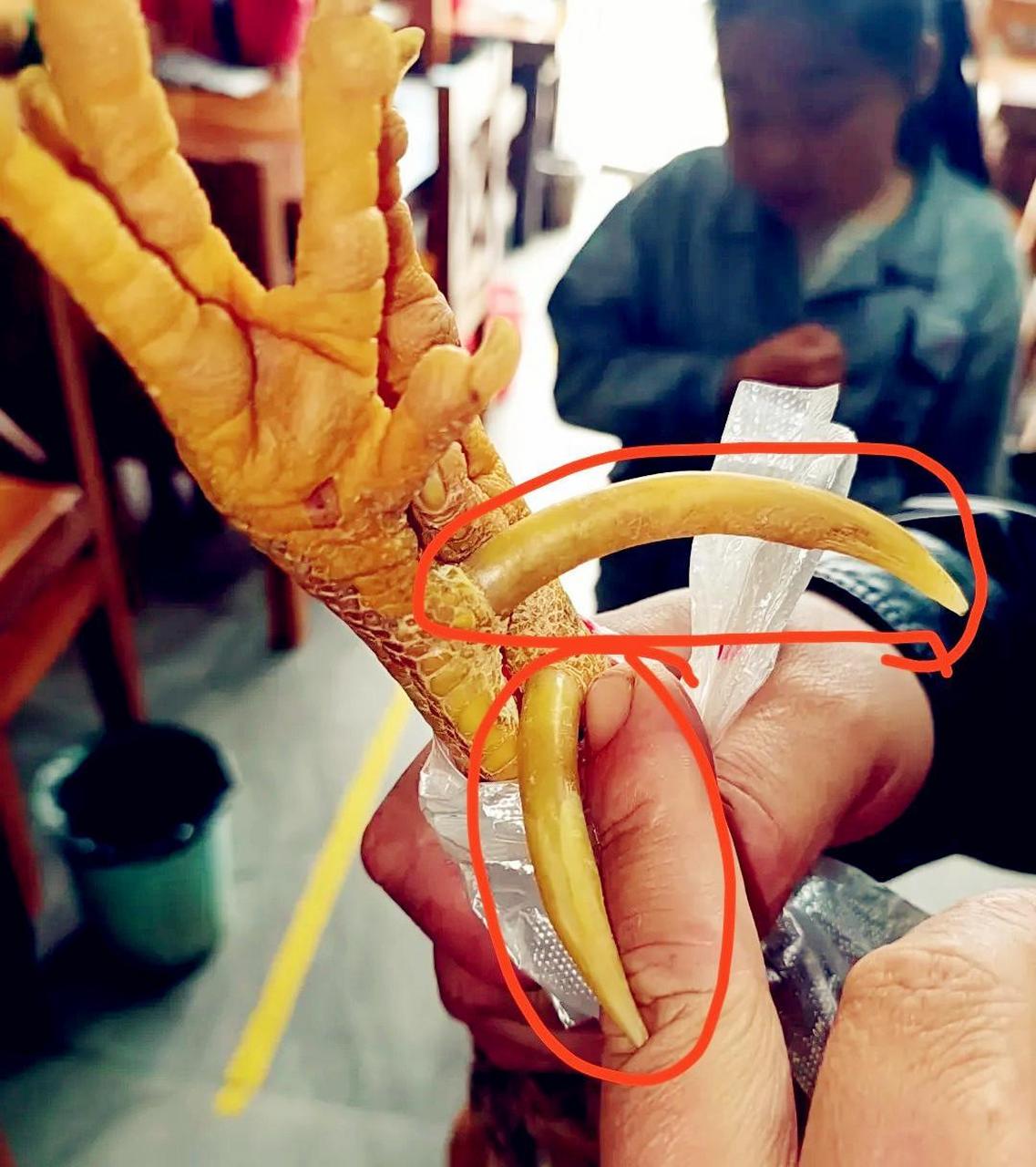 朋友说这两个公鸡蹬爪这么长,可稀罕了,加工成工艺品,价值可达万元.