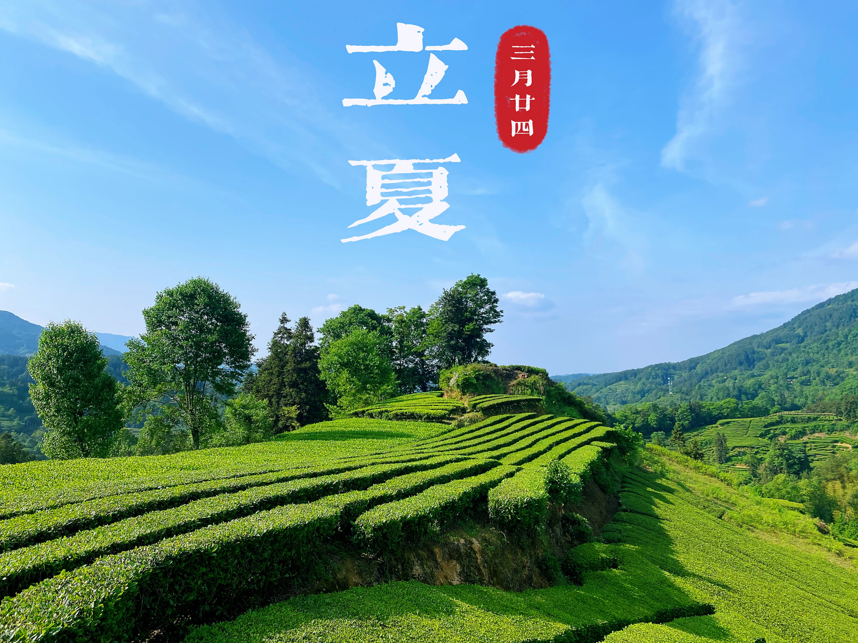 关于2021年立夏是几月几号的信息