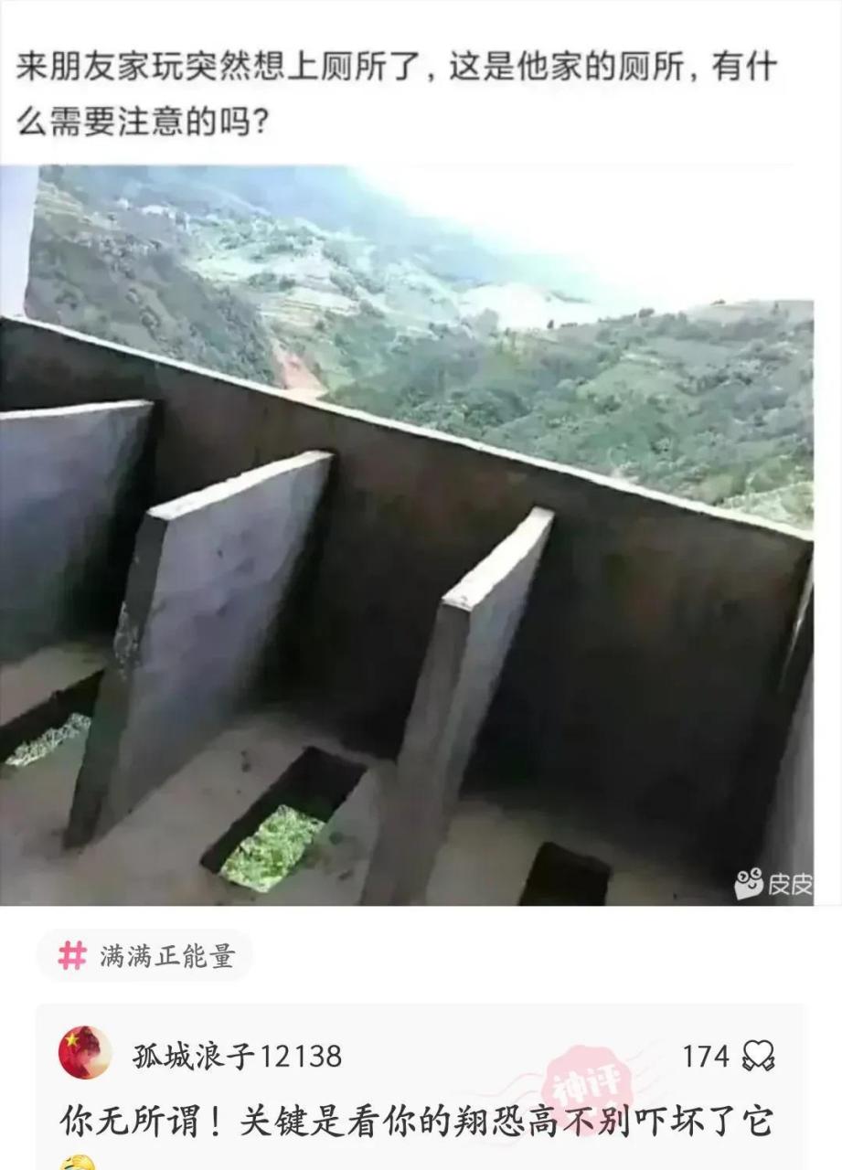 老八:我应该在厕里 不应该在厕底.