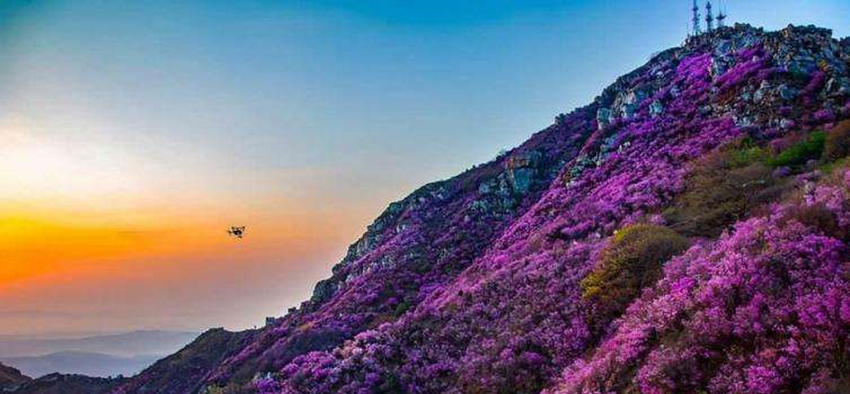 朝陽市桃花山風景區(聯) 福建霞浦一中 林承強 層巒聳翠,湖繞青山,月