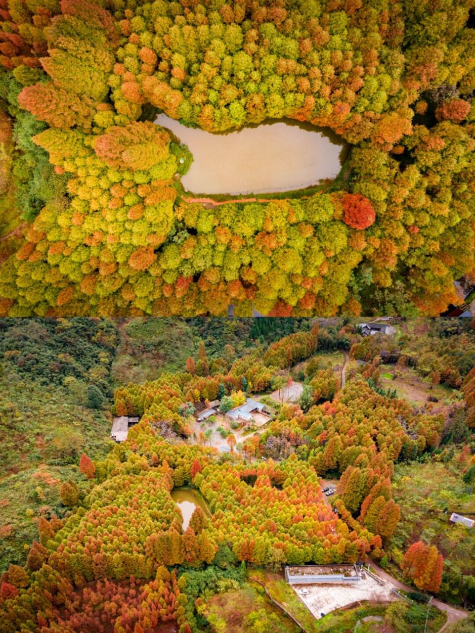 崇州琉璃坝,红叶彩林  琉璃坝,位于崇州市鸡冠山脚下,距离成都市区仅