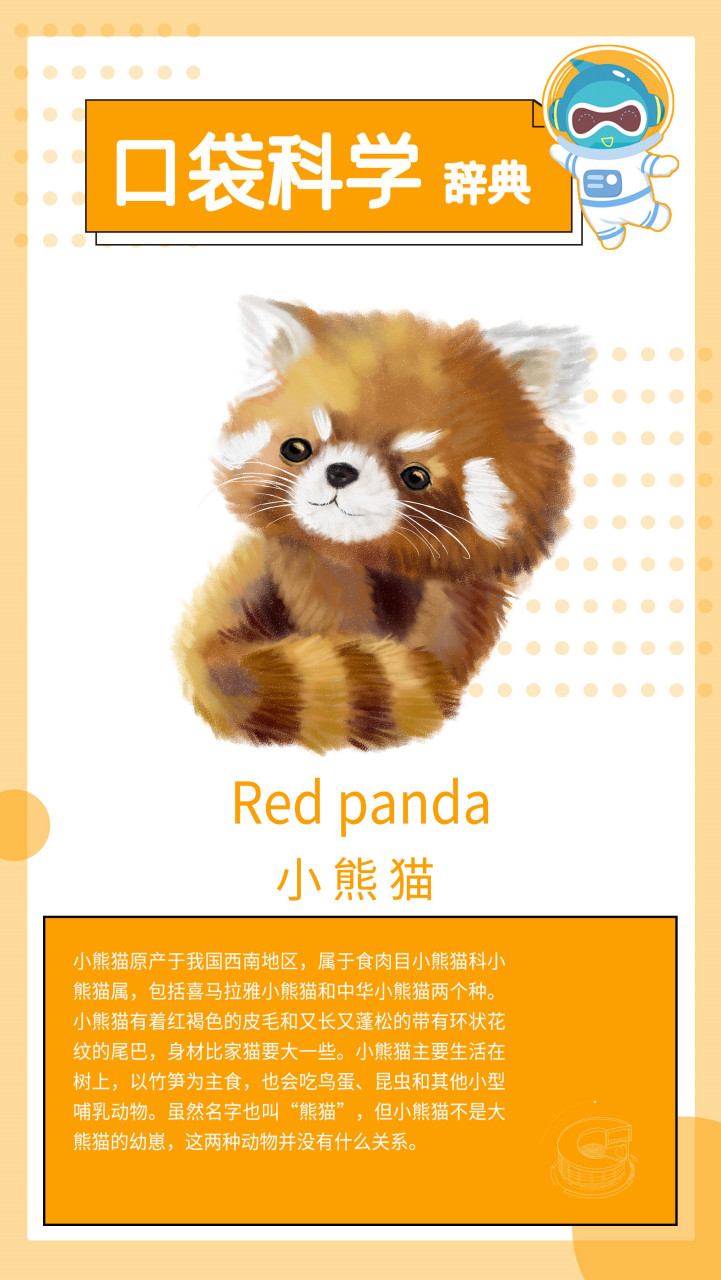 小熊猫用英文怎么说?#北京科学中心# #口袋科学辞典