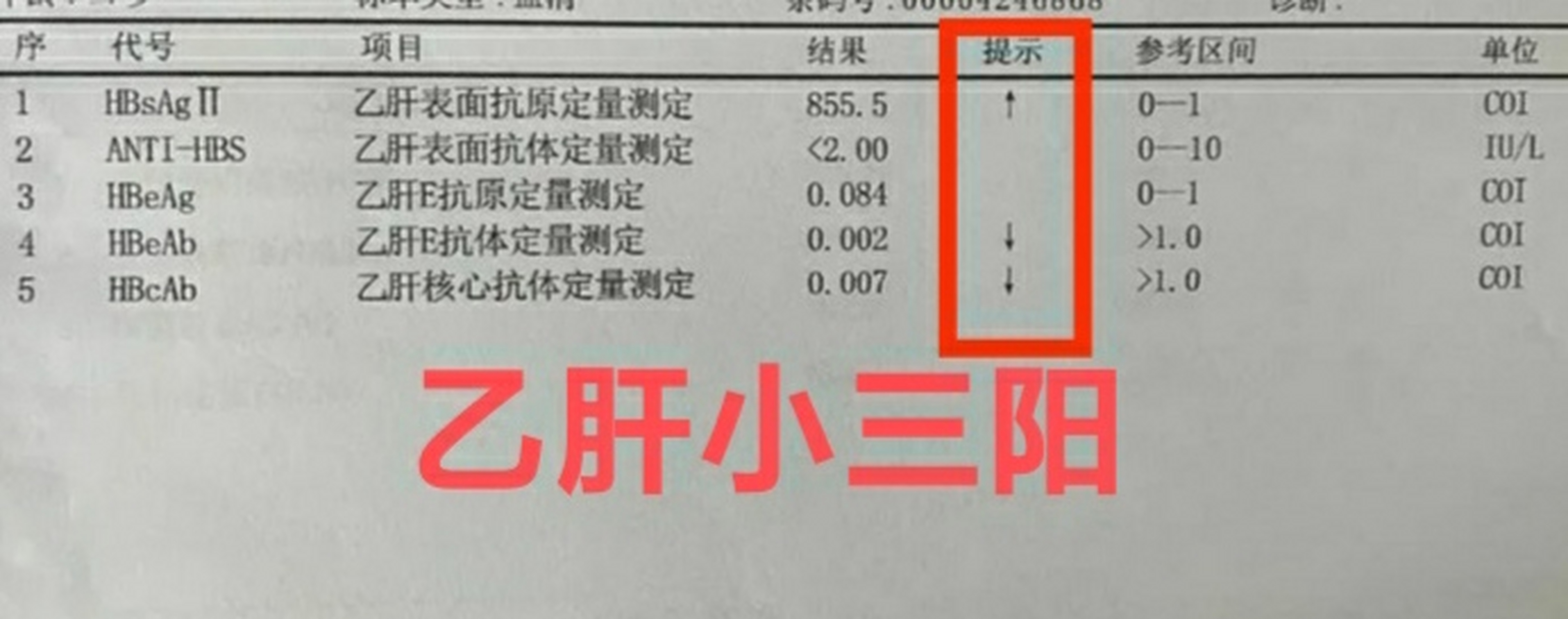 小三阳化验单两对半图片