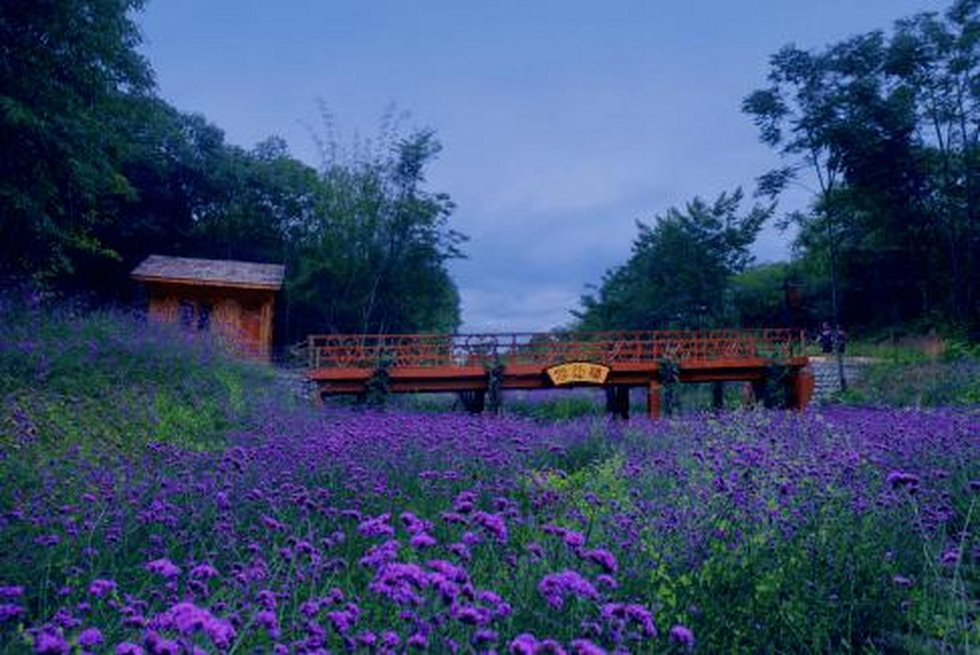 君平故里景区主要位于郫都区唐昌镇平乐村,涉及平康村,金沙村,新胜