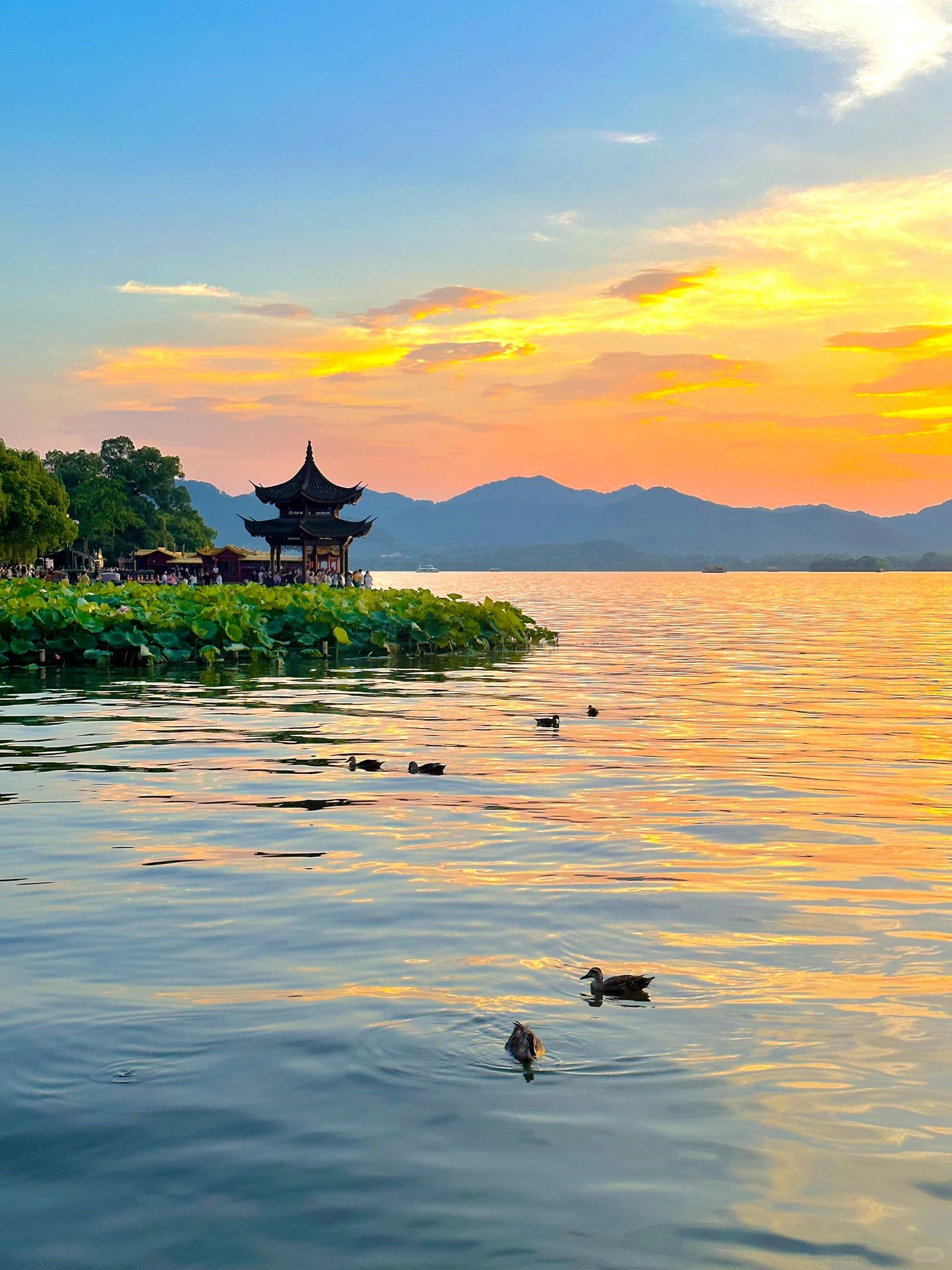 夏天的西湖晚霞真的可以封神美哭了