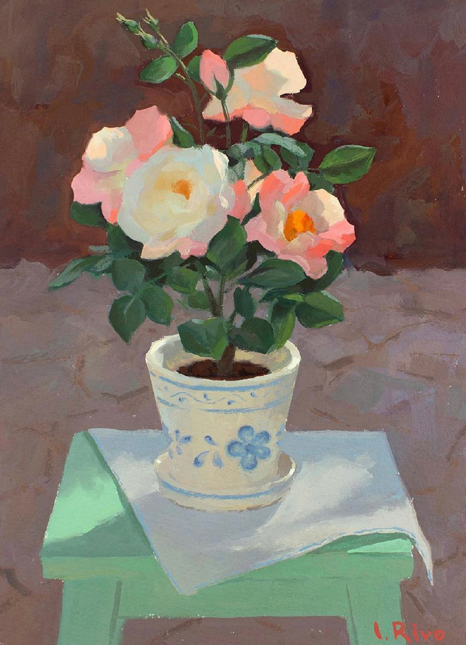 清晰鲜亮的大色块学习 lena rivo 作品