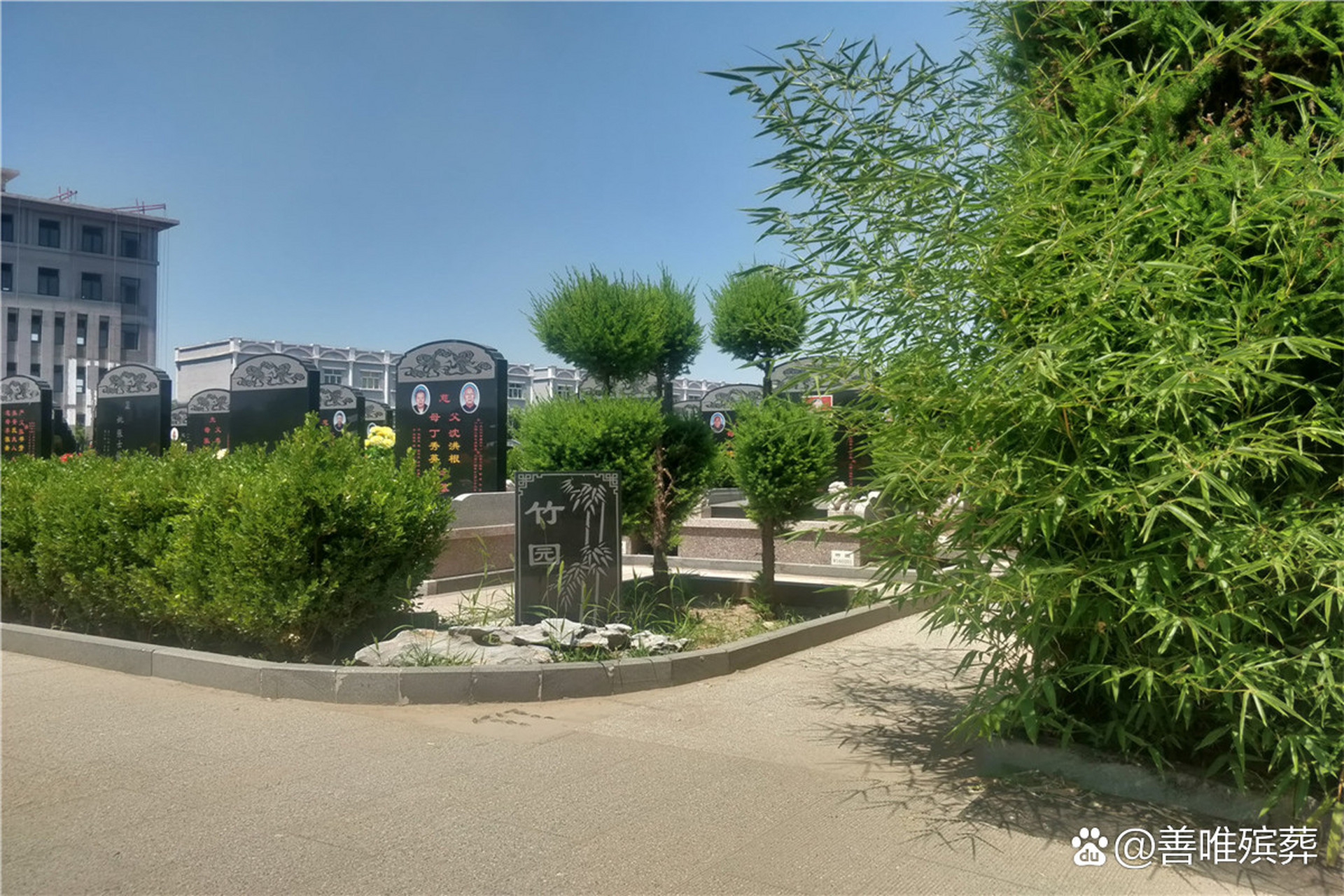 在北京周边陵园中,万桐园是个性价比极高的陵园,这里的环境出色,交通