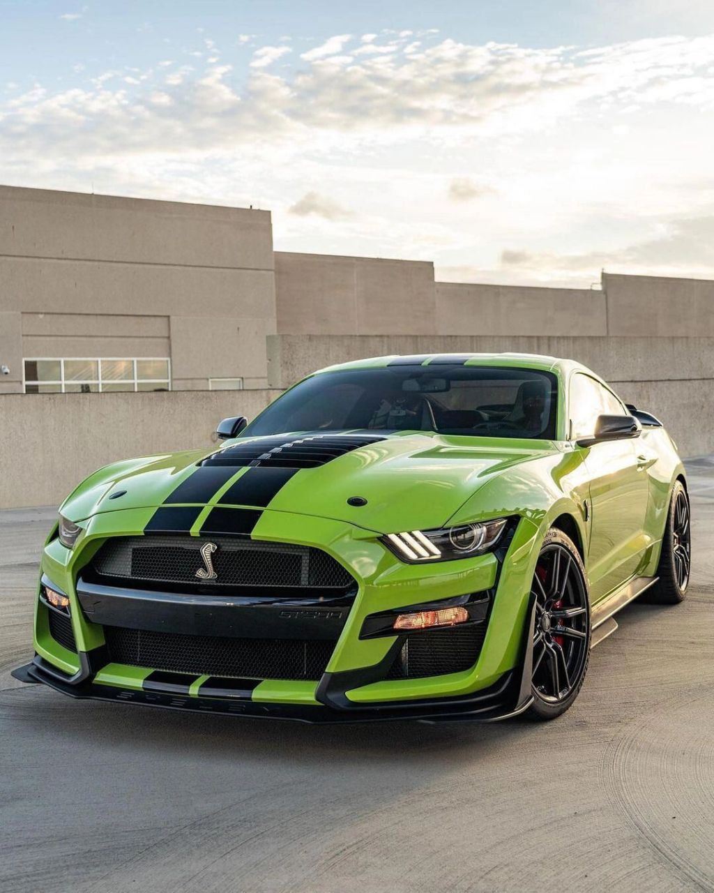 野马之王,shelby gt500征服赛道 福特野马shelby gt500是一款由福特