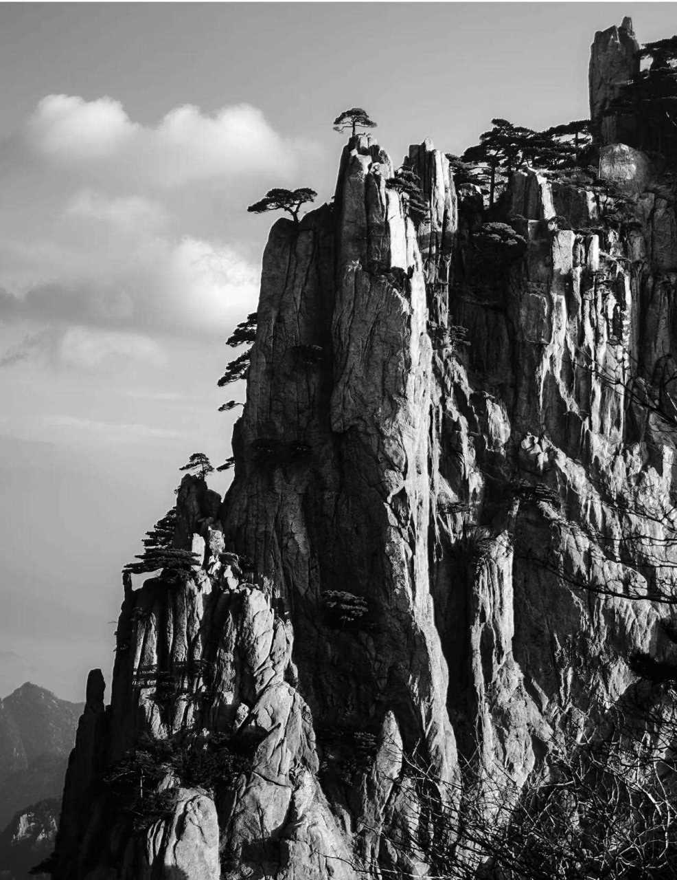 《黄山奇松》  年摄于安徽黄山.