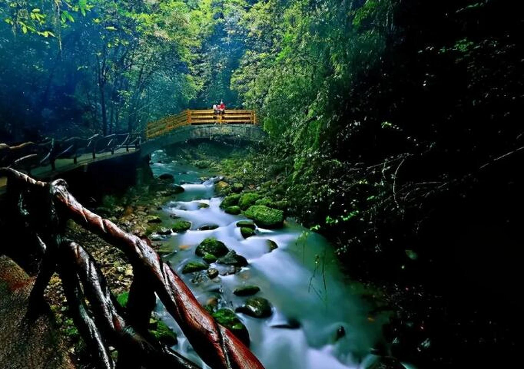 达州巴山大峡谷,一个美丽而神.@在云贵川旅行的动态