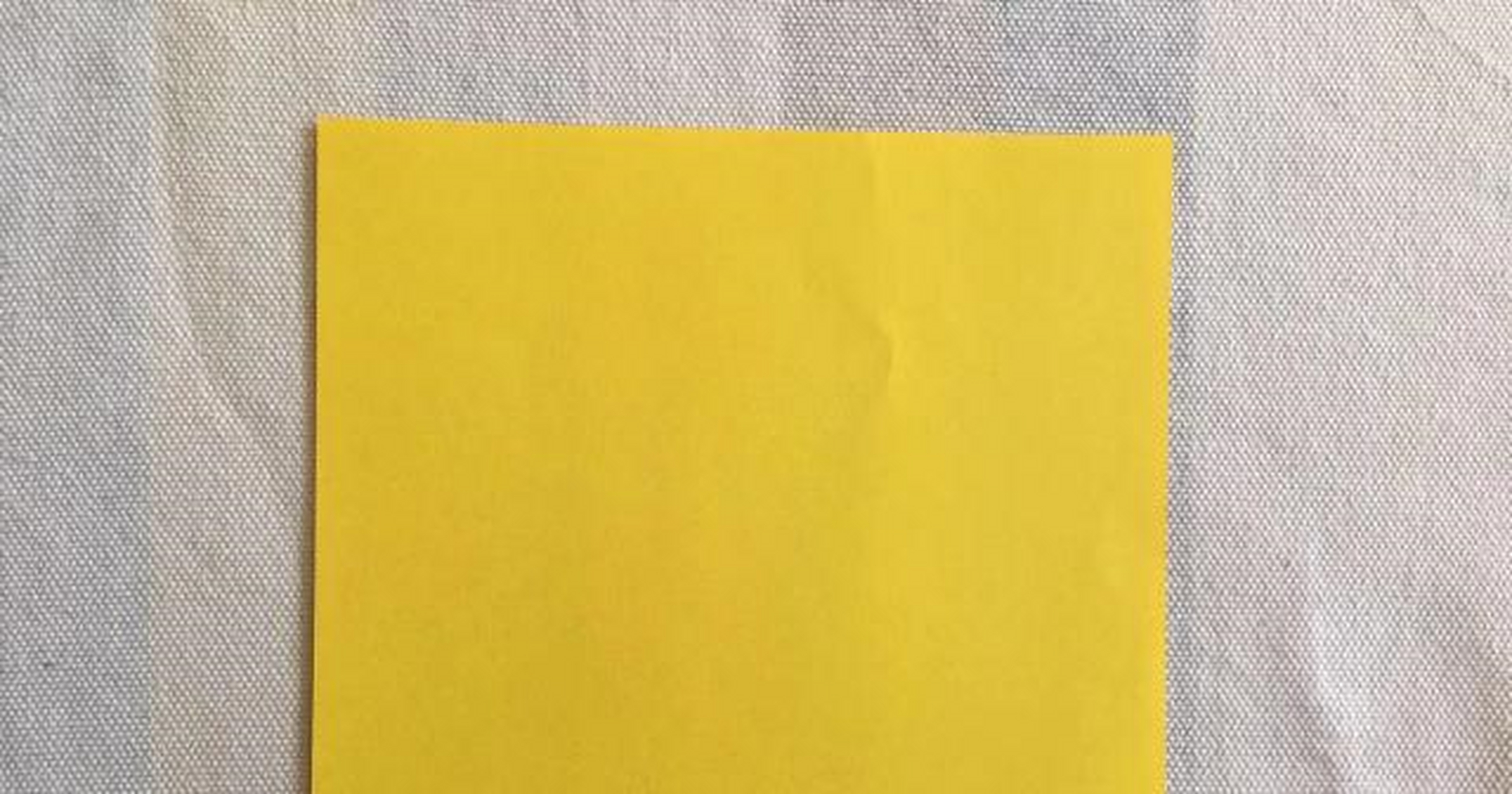 折纸:折一只丑丑的斗牛犬,简单几步就能折好,一起来看看吧