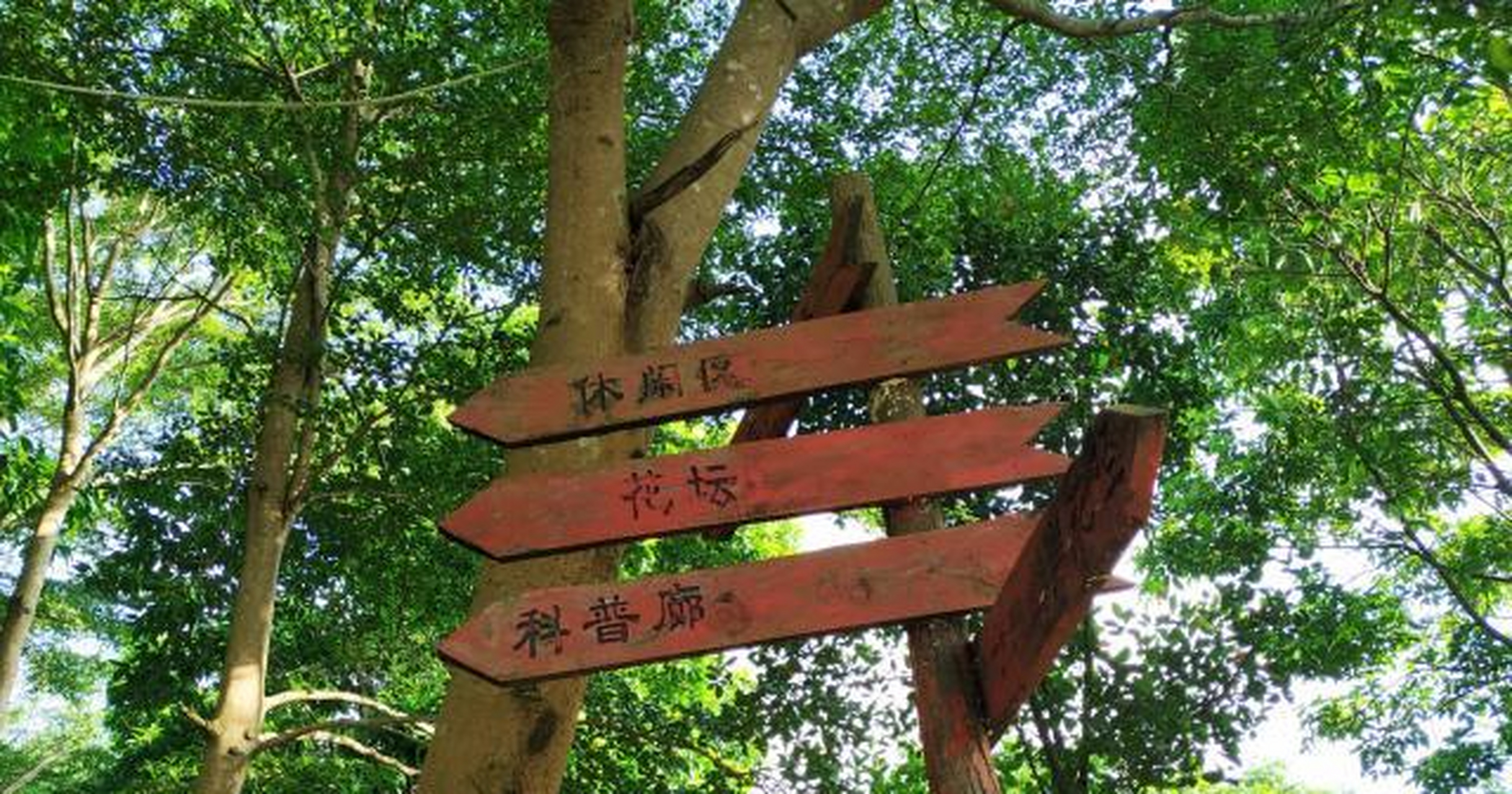 乡村景点:广东罗定花仙谷,又一座荒废"乐园"