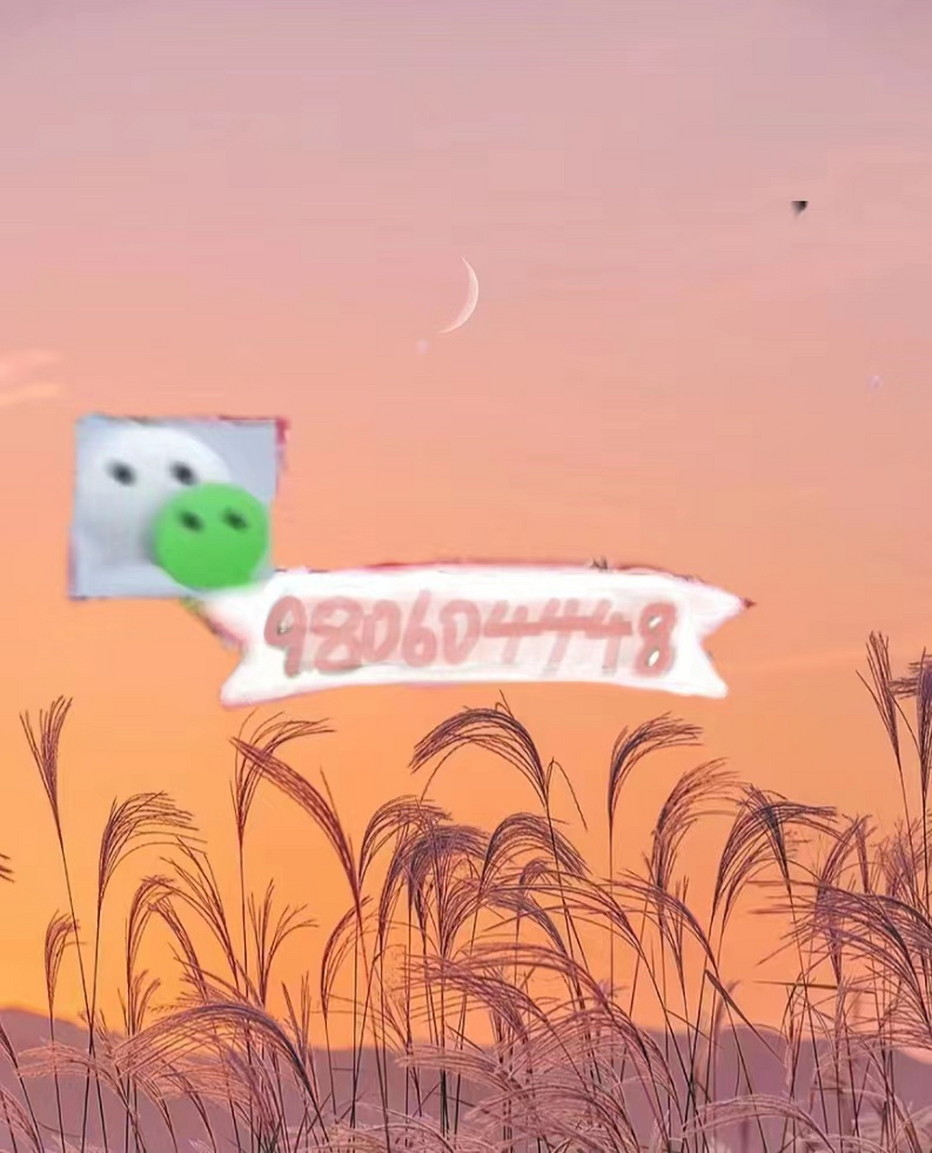 『了解』玩金花最新扑克牌听牌器多少钱—个【知乎--科普百科】