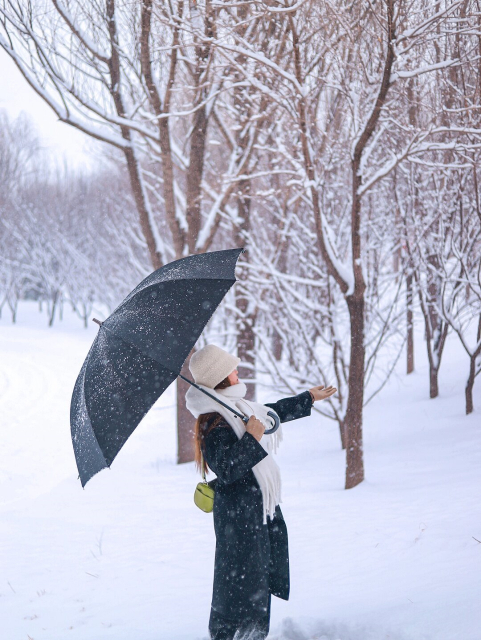 孤独背影雪图片