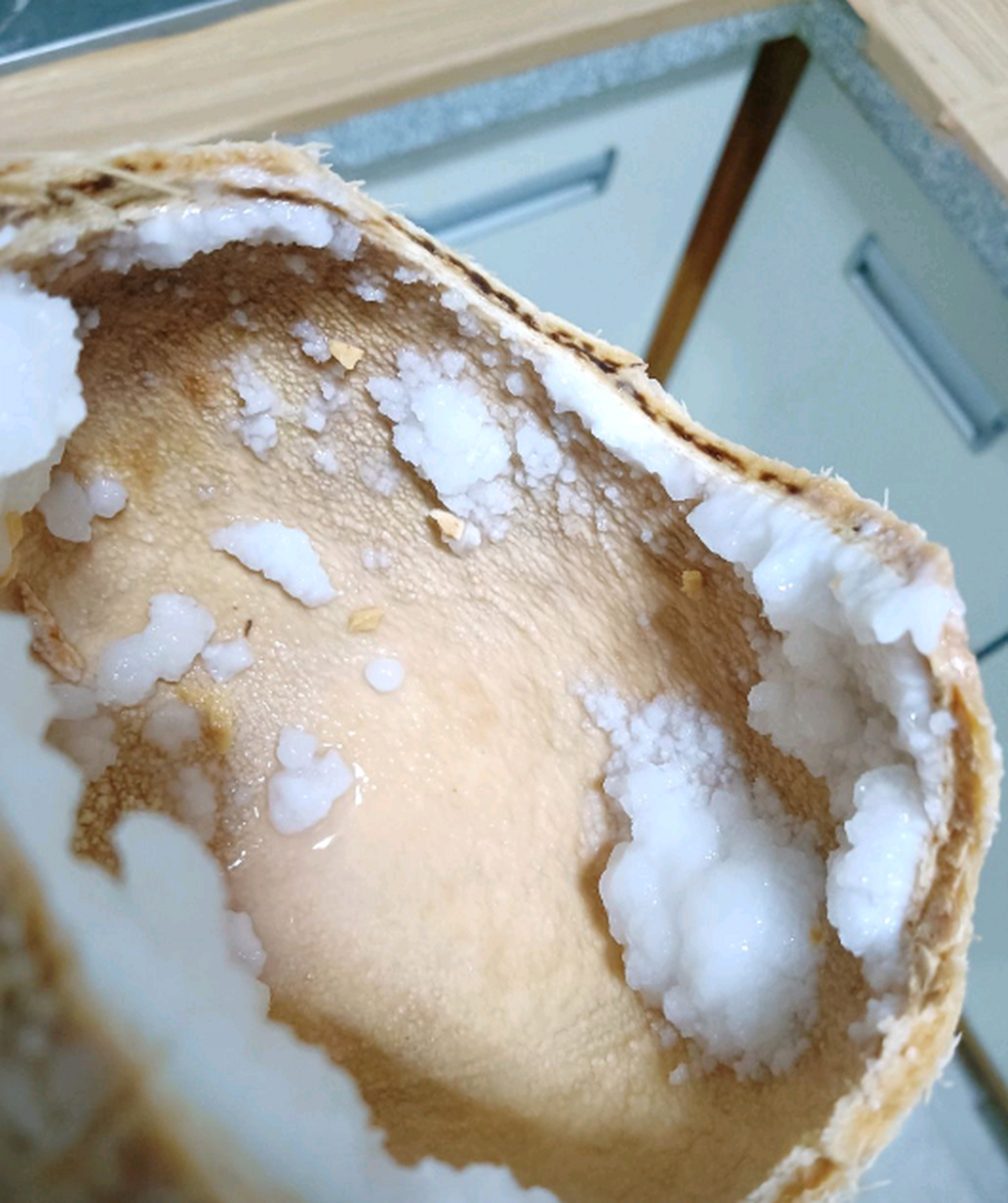 打开椰子之后,里面为什么是这样?是不是坏掉了