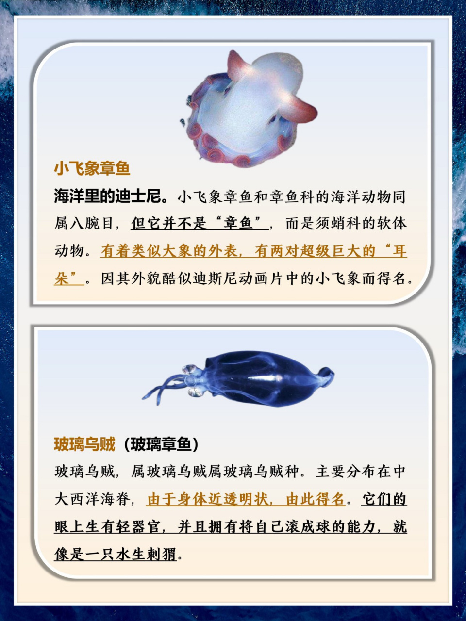 奇异的海洋生物02最后一个太可怕 (6-14岁要知道的海洋知识科普) 一