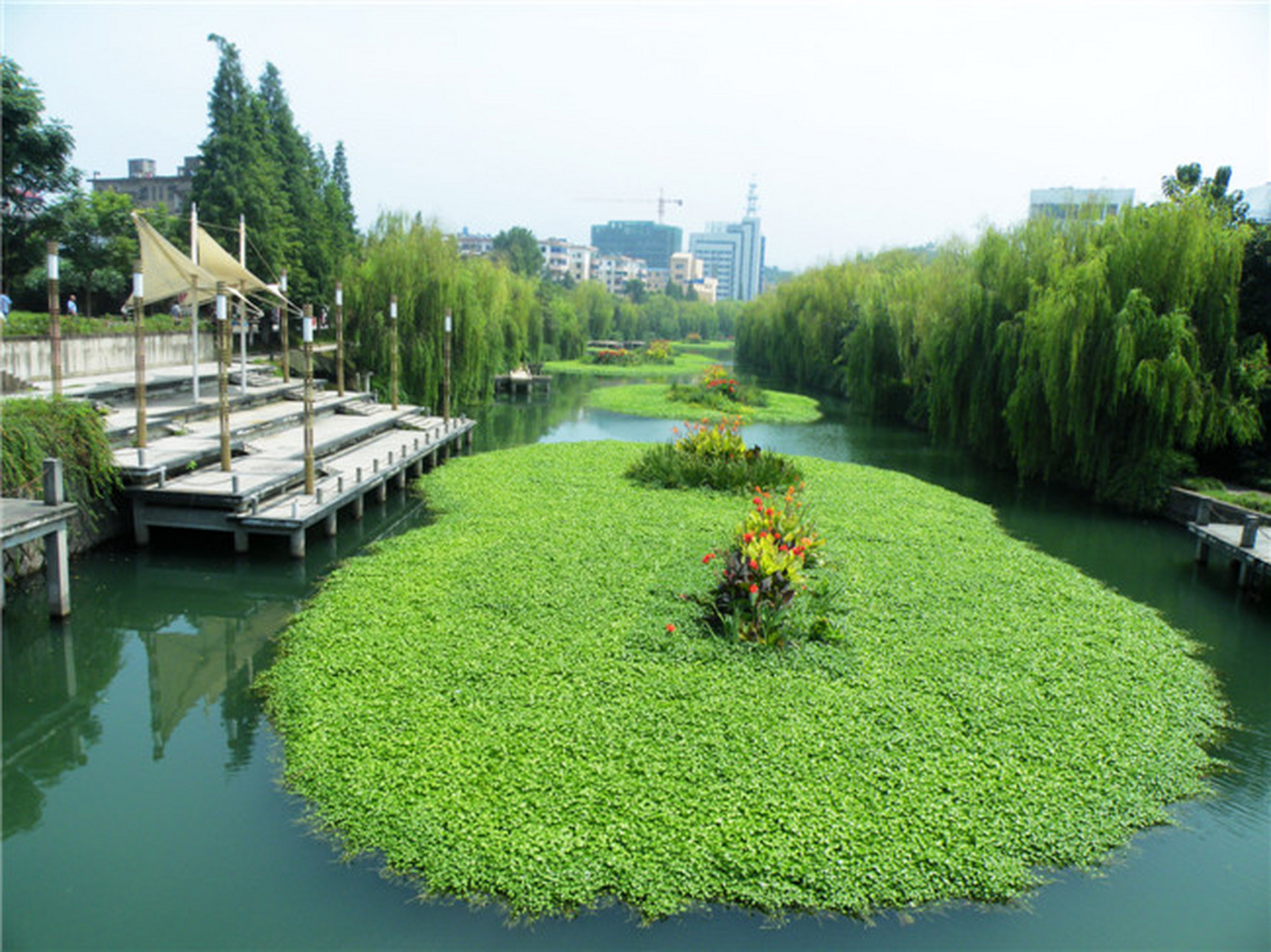 如何利用生态浮岛实现水质净化? 河道景观生态浮岛借助湿地植被和微生