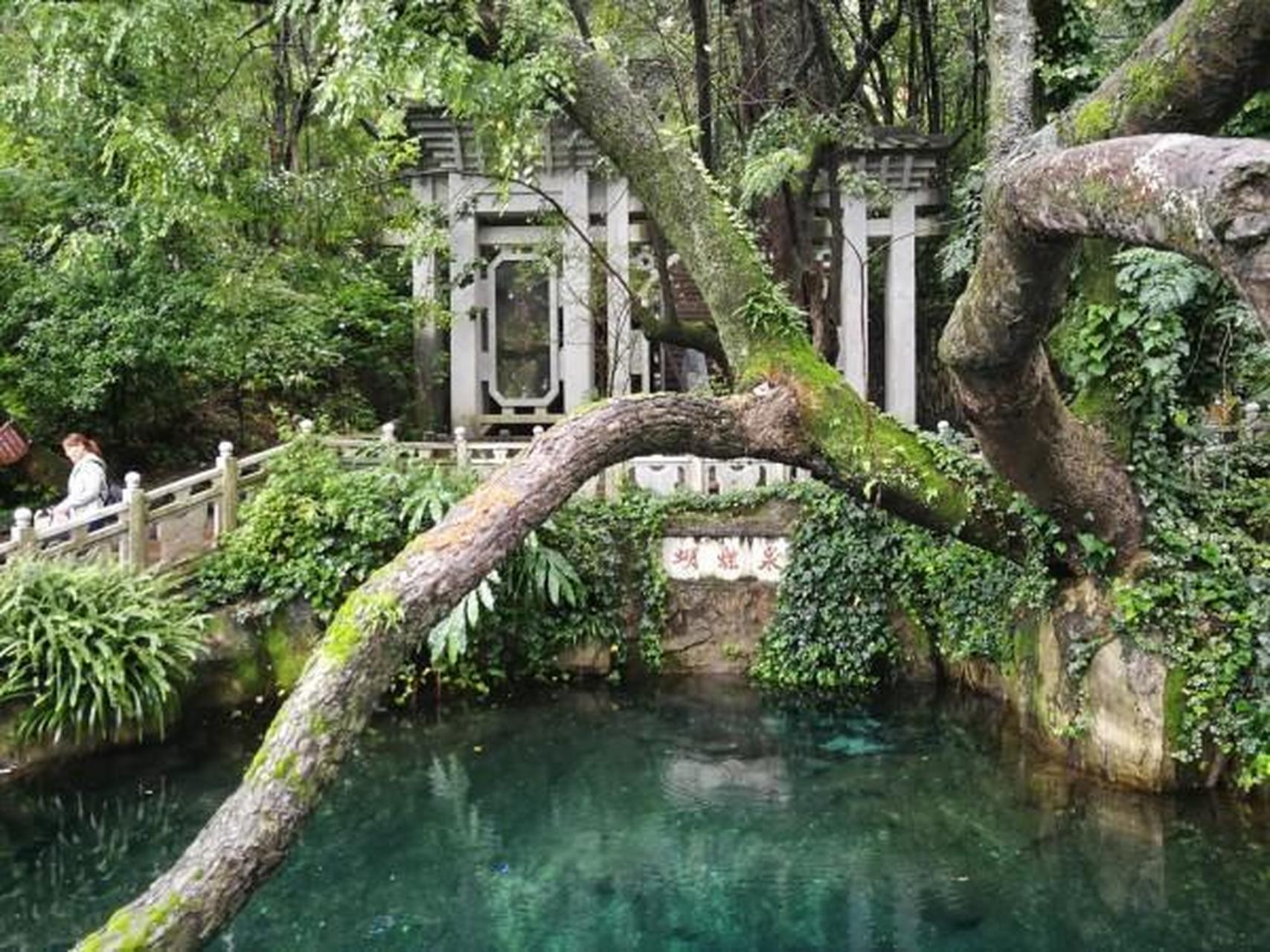 蝴蝶泉位于云南省大理国家苍洱风景名胜区的中心.