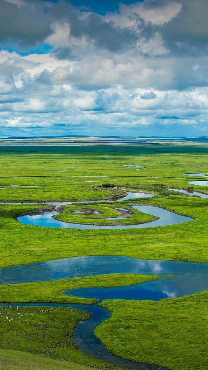 在辽阔无垠的宇宙之瞳中,一片绵延广袤的大草原犹如被铺展开来的一块