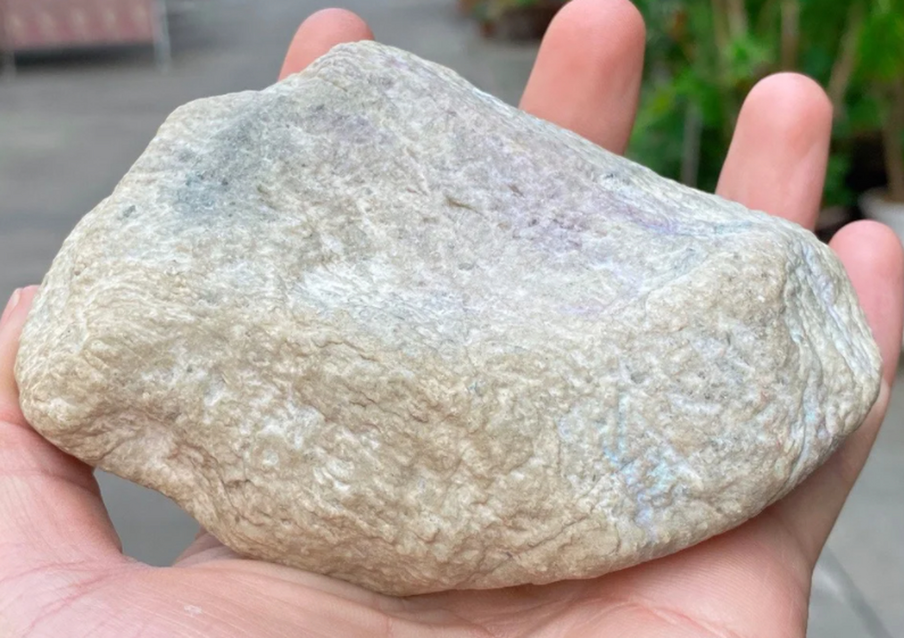 点击头像看直播# #翡翠原石# 老坑莫西沙脱沙料,小灯泡470克,尺寸