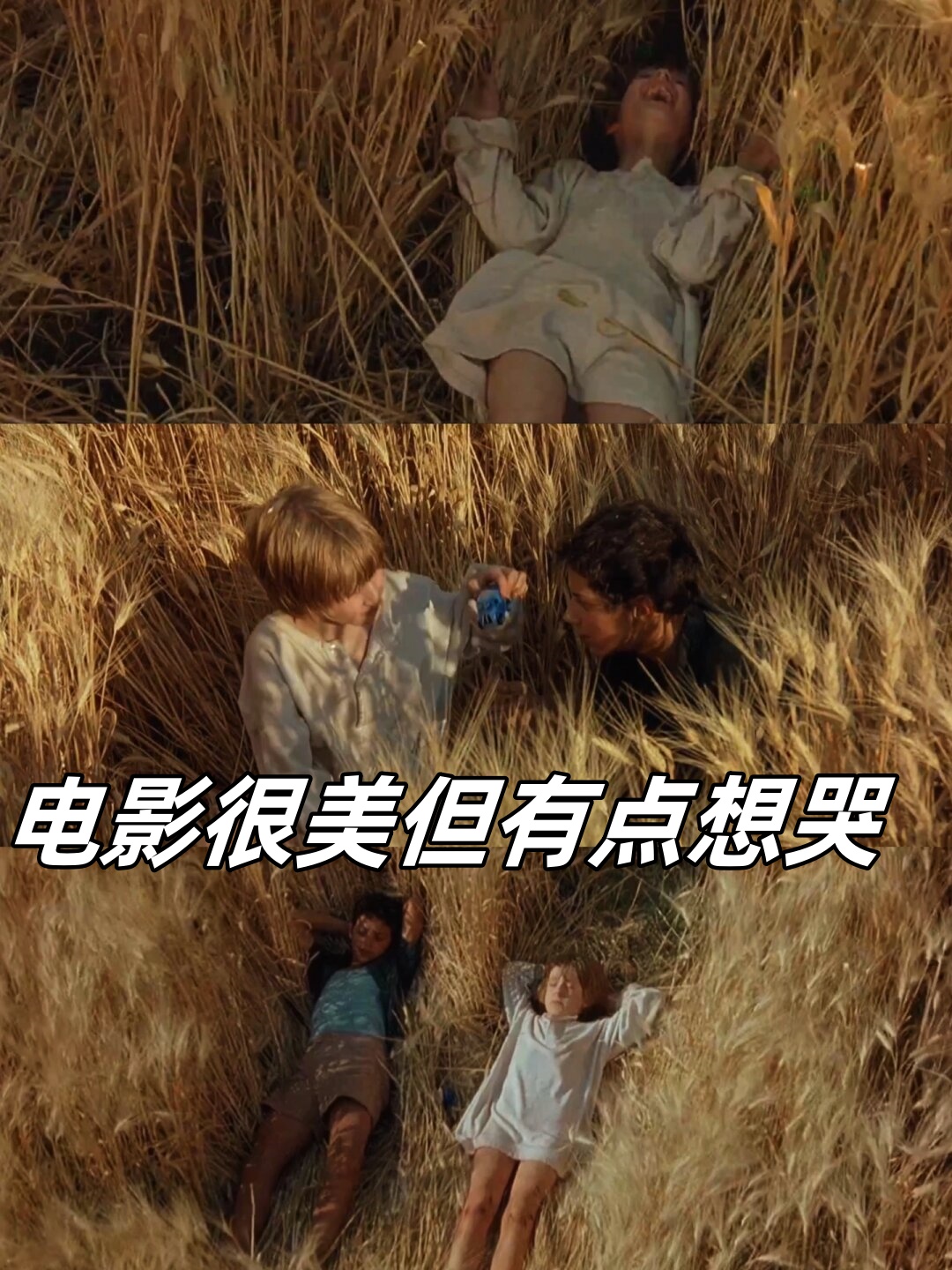 小电影有哪些好看的_情侣小电影有哪些好看的