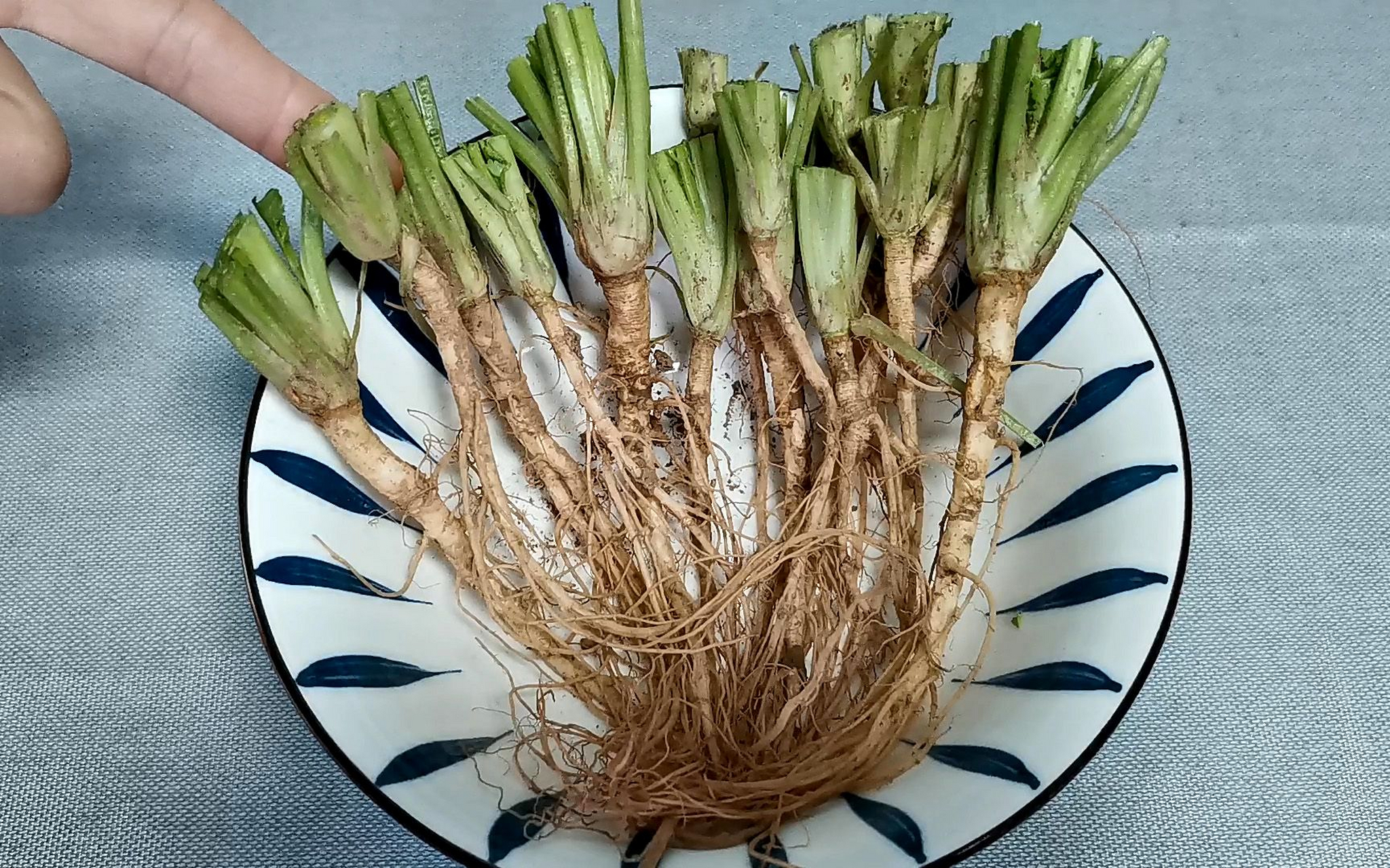 丝瓜叶,土豆皮,香菜根不要扔,这么用能变废为宝,缓解荨麻疹瘙痒  "