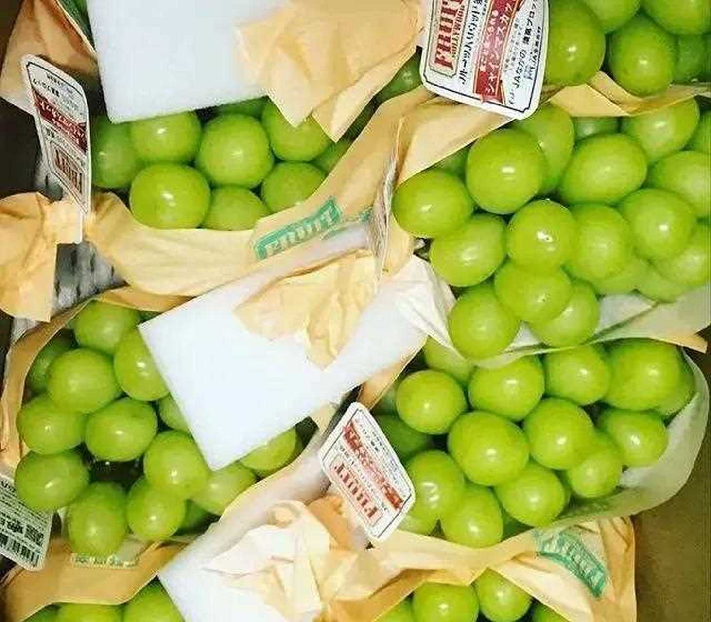 水果中的爱马仕——香印青提 日本香印青提被称为"葡萄界的王者""提子