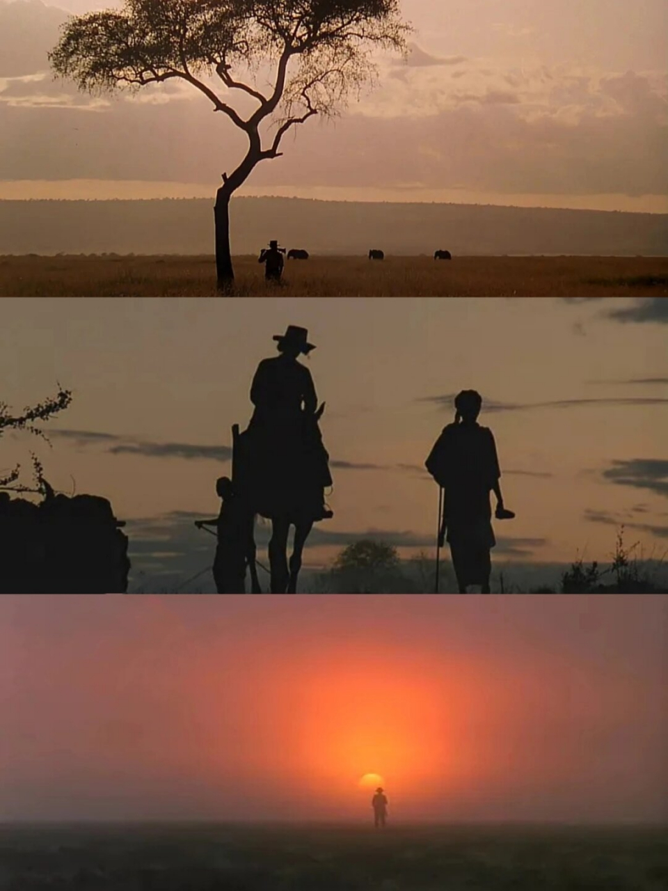 6分所有女生都给我去看   片名:《走出非洲》  片长:117分钟  本片是