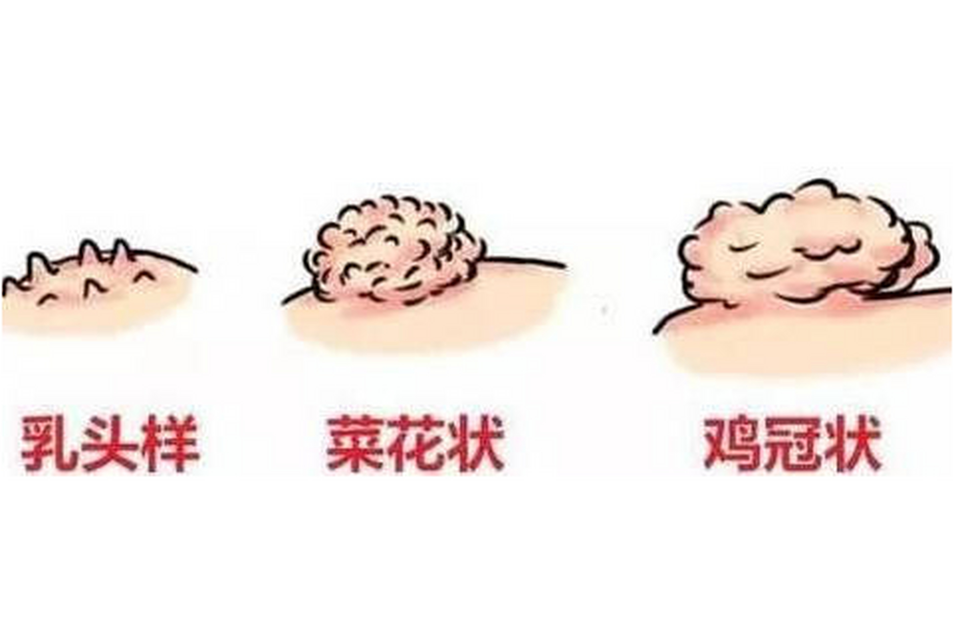 尖锐蚩尤图片图片