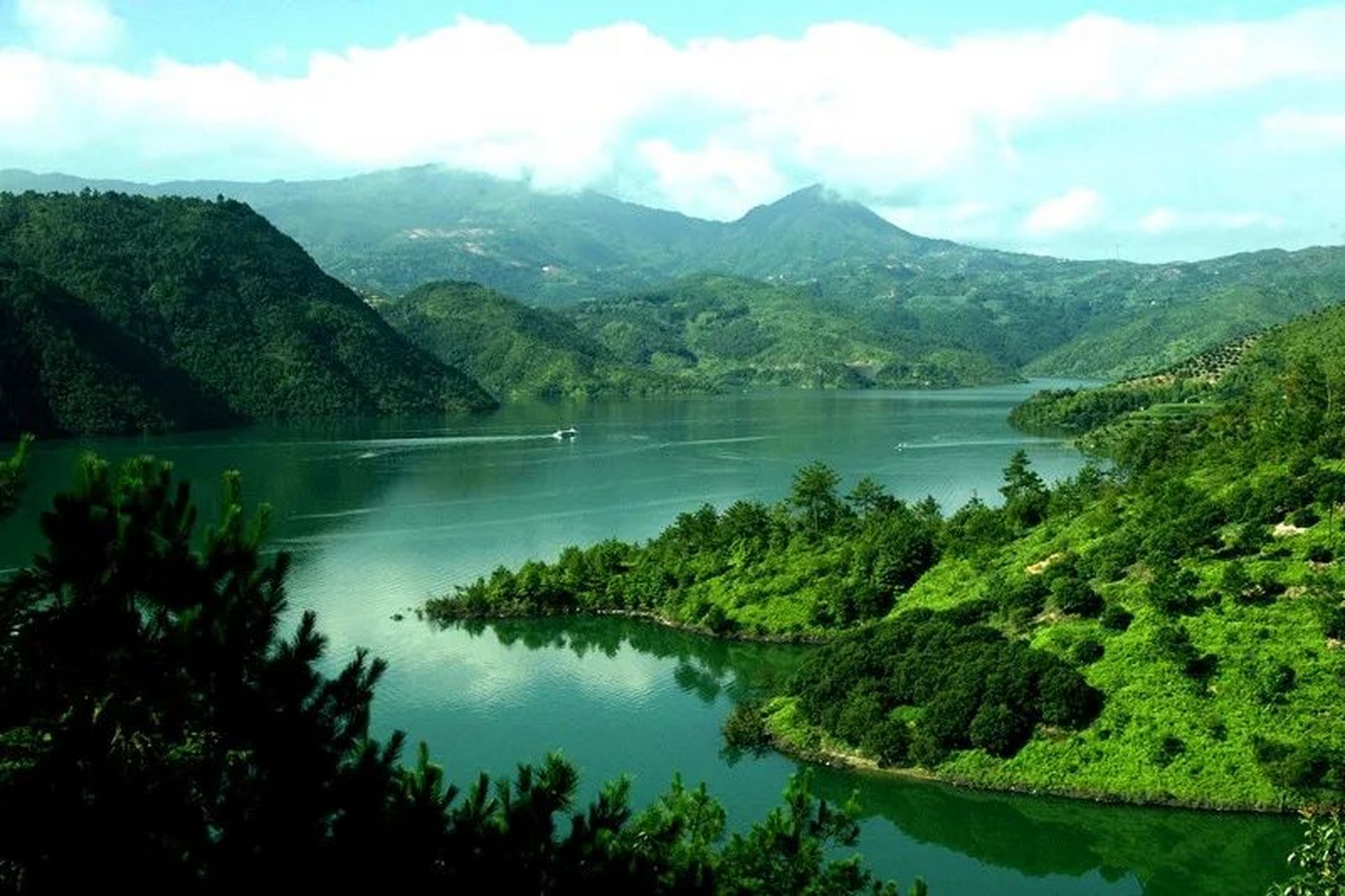 寻美温州# 原来不只是飞云江,飞云湖也大有看头 图片出自 刘峰《飞云