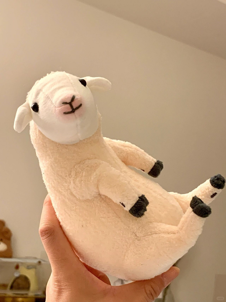 可以脱羊毛的小羊~  朋友送了我心心念念小羊玩偶,还可以脱衣服,太