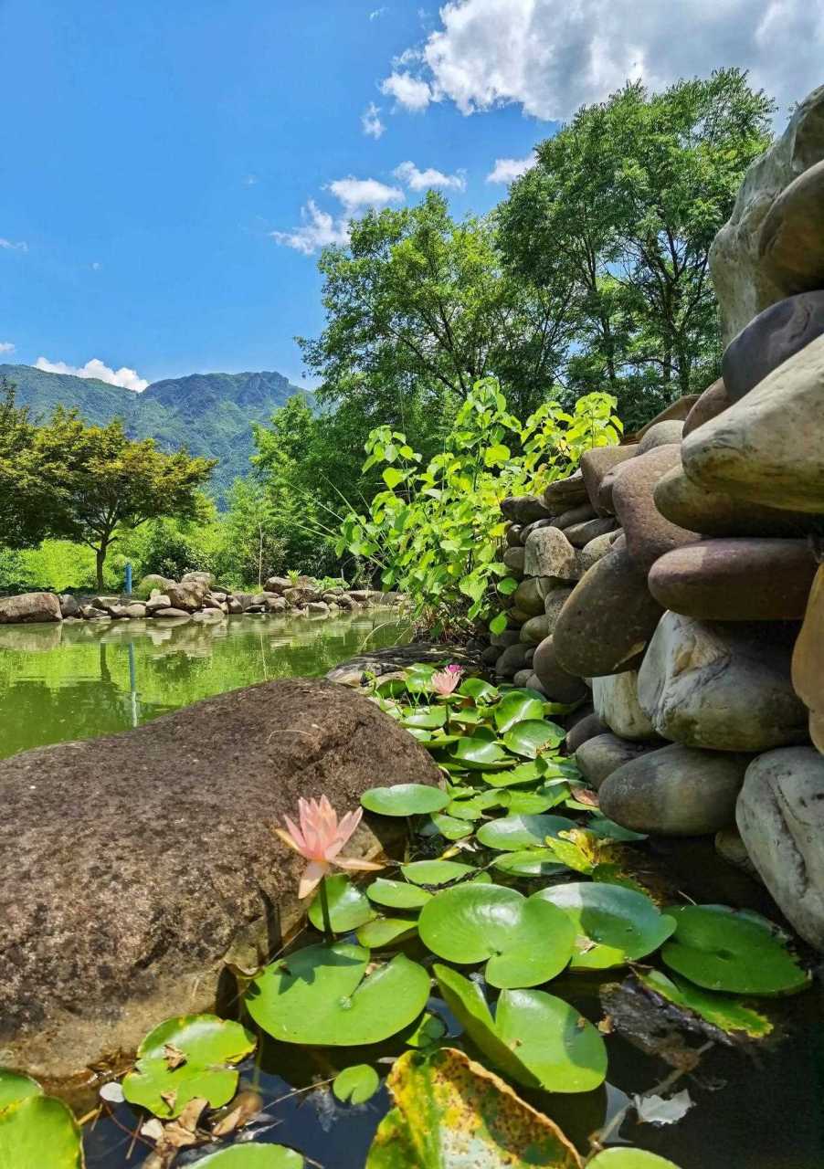 绿水青山带笑颜石坞村图片