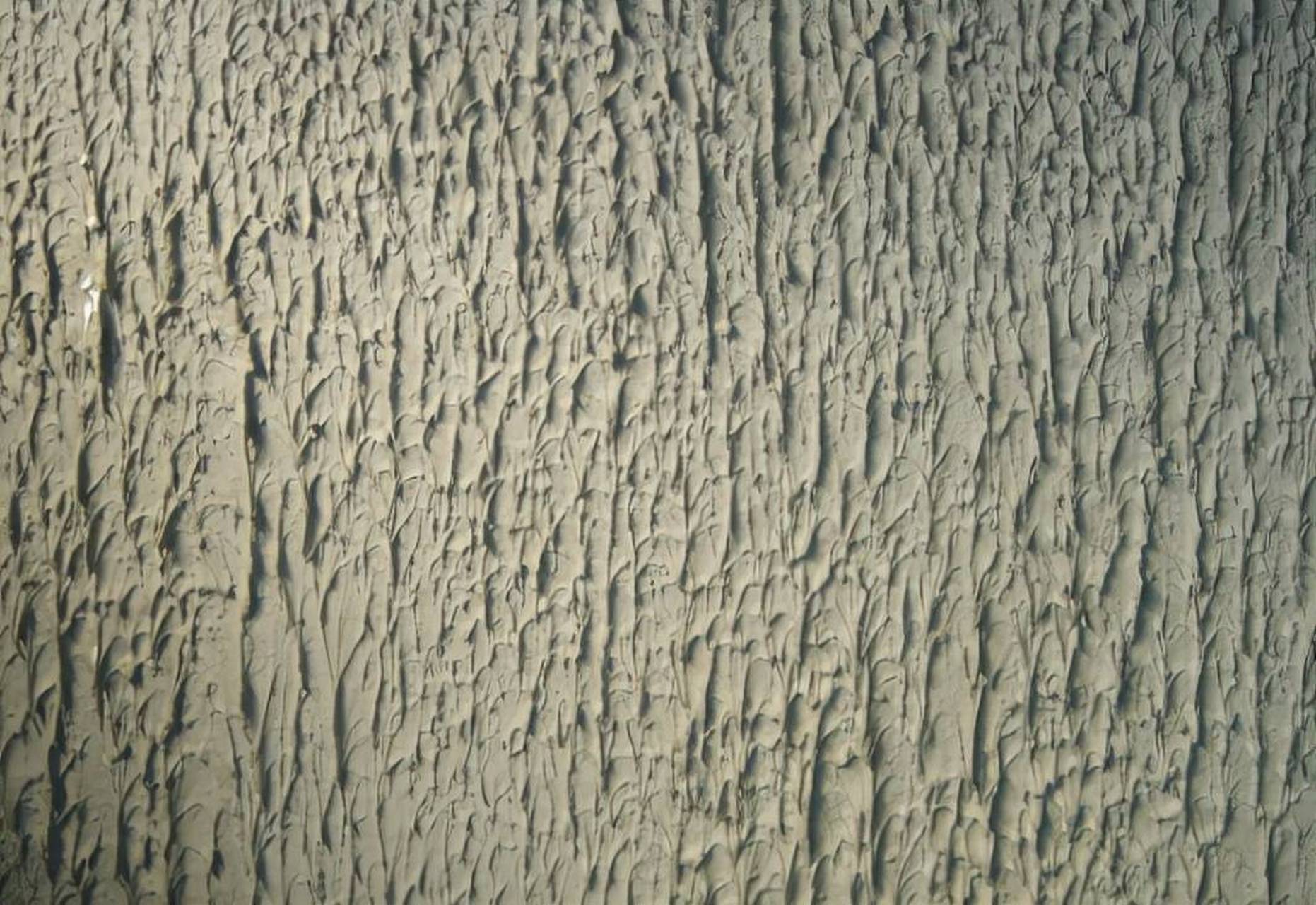 新房装修丨墙面做拉毛工艺有何优点?