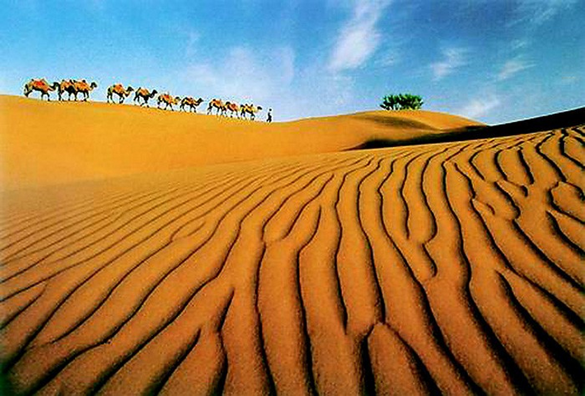 国道,233省道,尉且公路等沙漠公路交会于此,是沙漠旅游的交通枢纽和