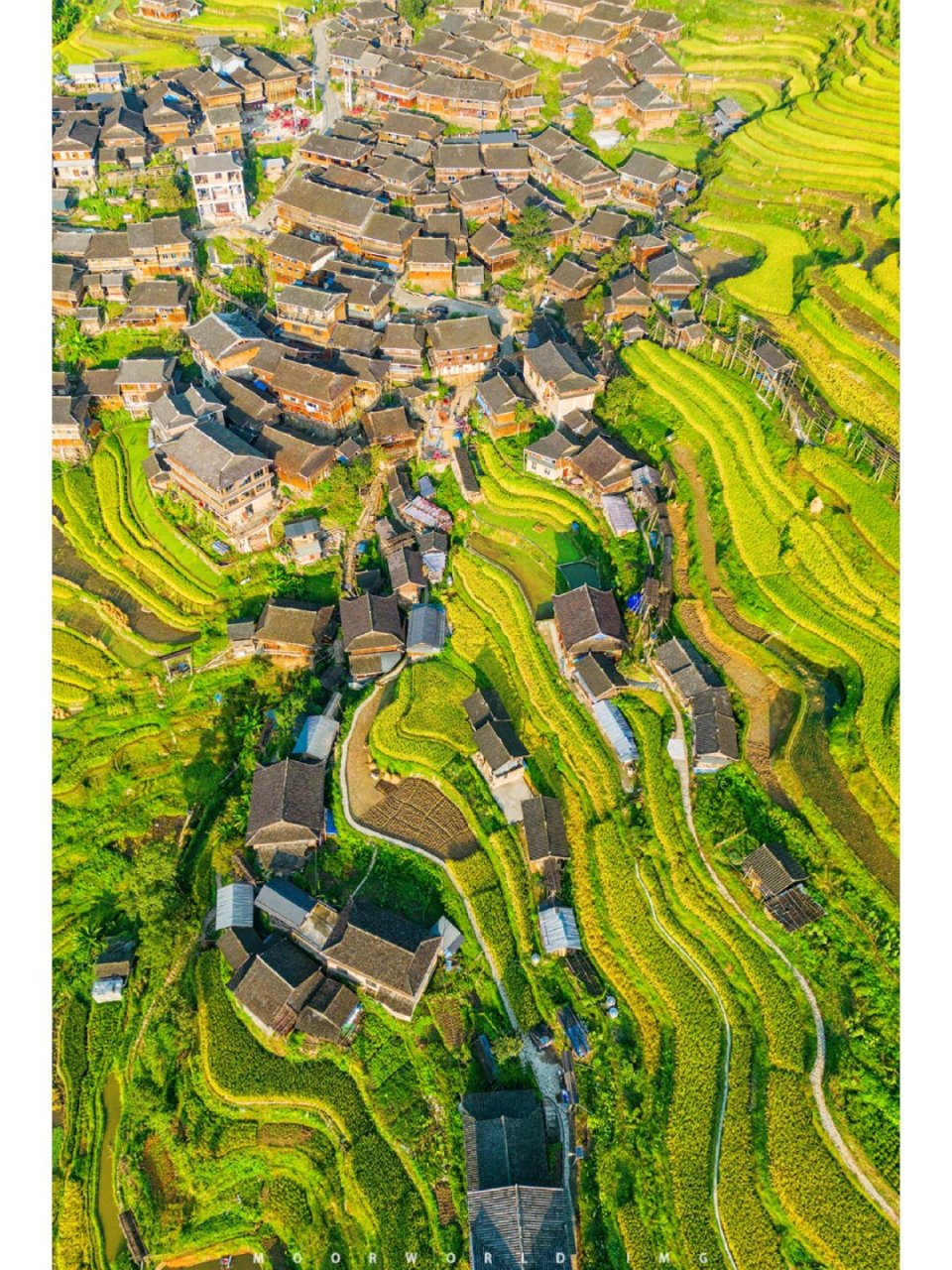 6)-从江加车村  在生机勃勃的春天里,我们忍不住想象着秋天丰收的美景