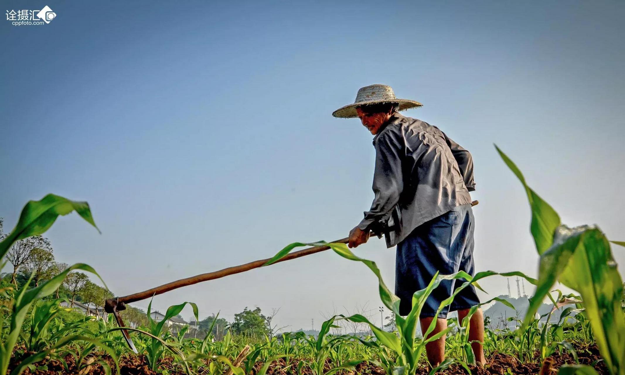 请您赐点睛之句.