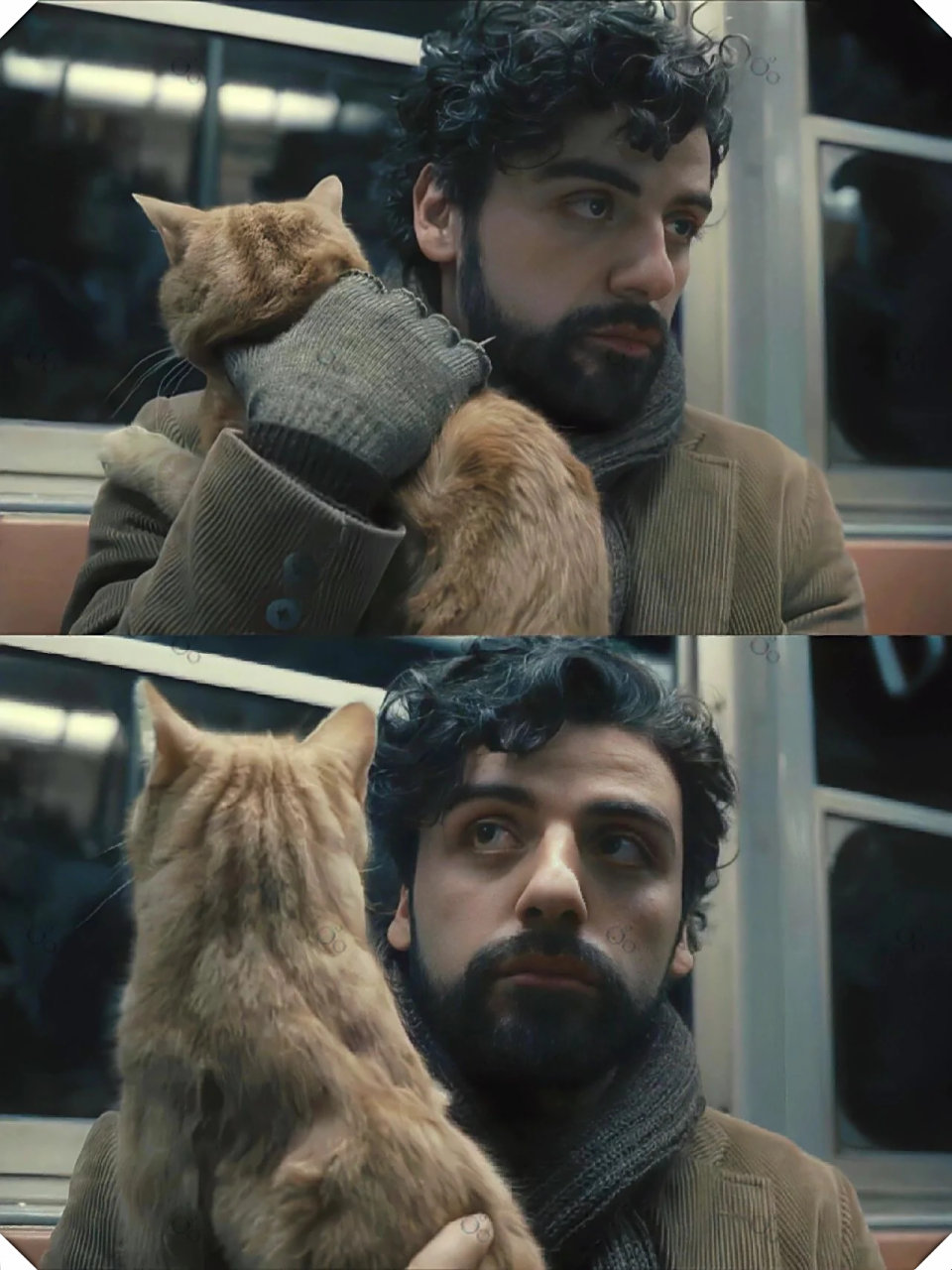 这部名为《醉乡民谣》的电影,真的让我深深爱上了.