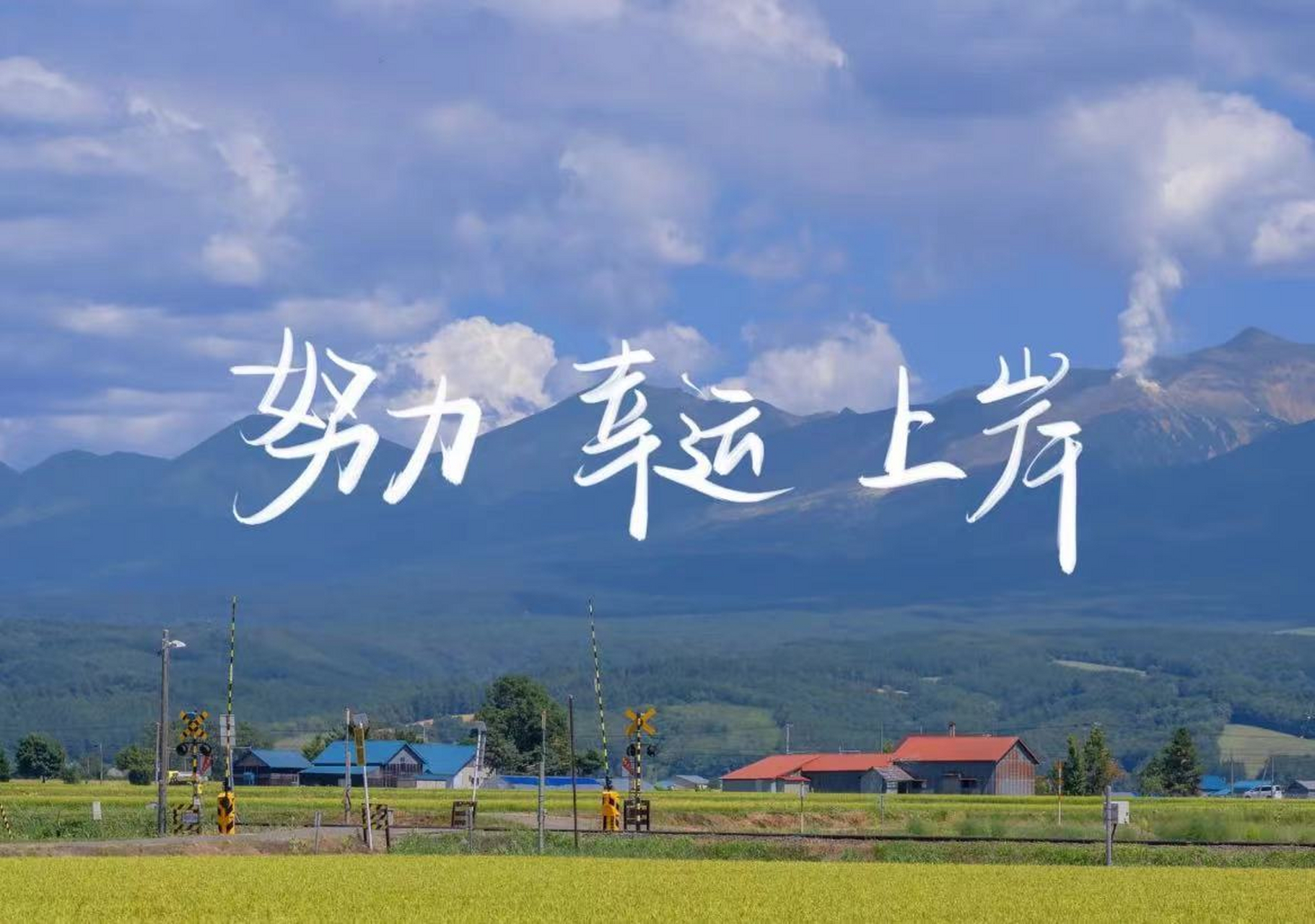 考研英语是许多考生的痛点,今天我来分享一下自己的复习技巧,希望