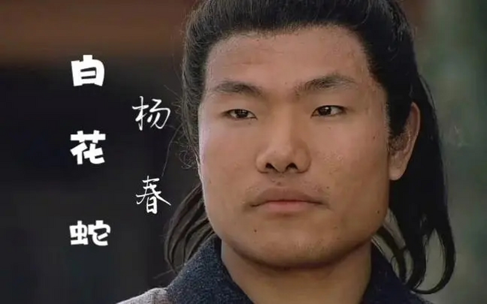 杨春是——水浒传》中第四位出场人物,绰号白花蛇,蒲州解良人氏