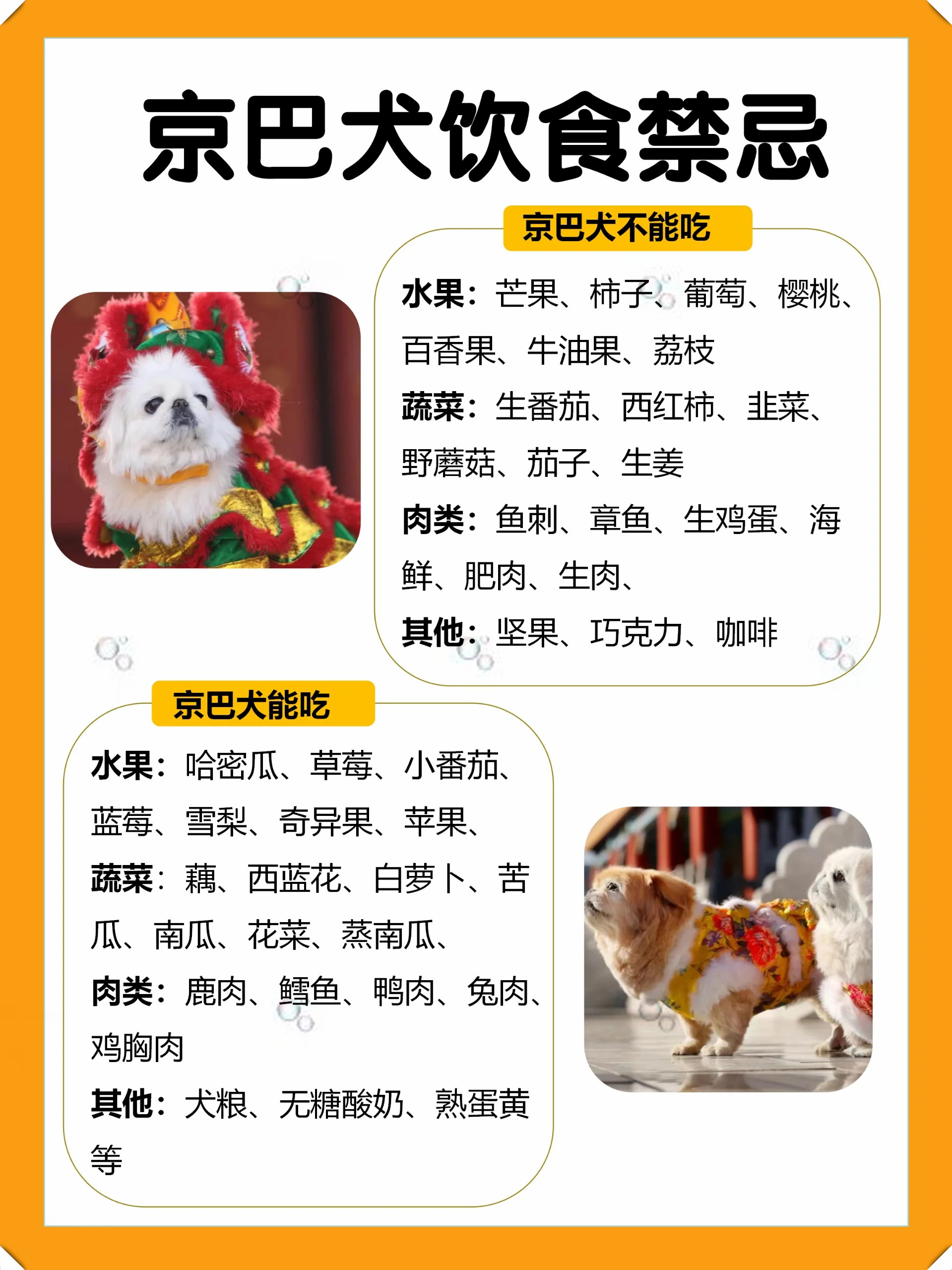 京巴犬,古老而神秘的中国犬种,四干年前就已存在,被誉为"护门神麒麟
