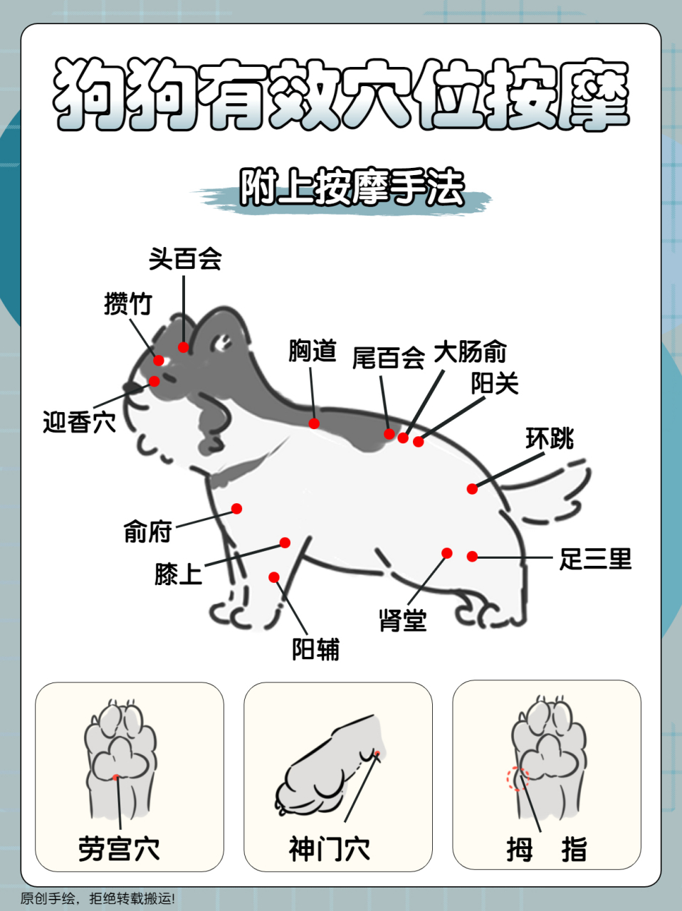 狗狗穴位按摩图解|让狗狗与你更亲近!##狗狗